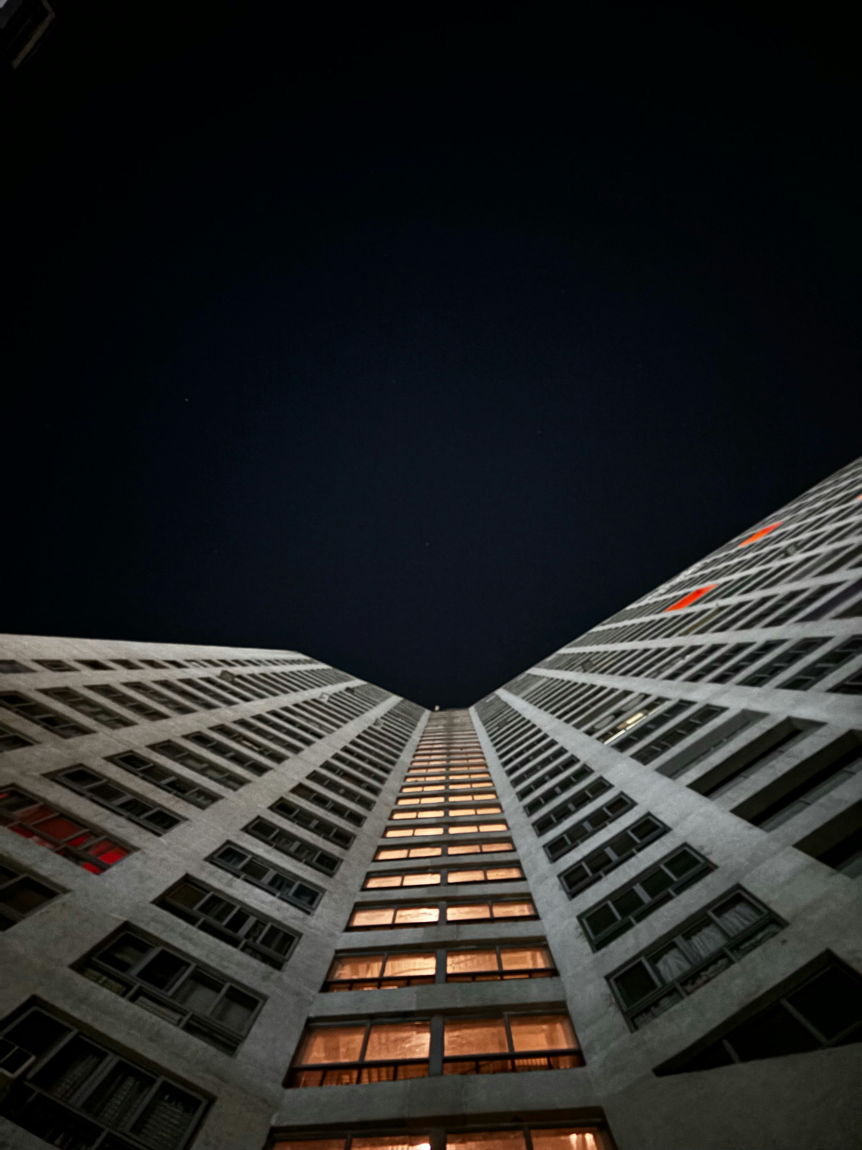 Photo by flyingparantha