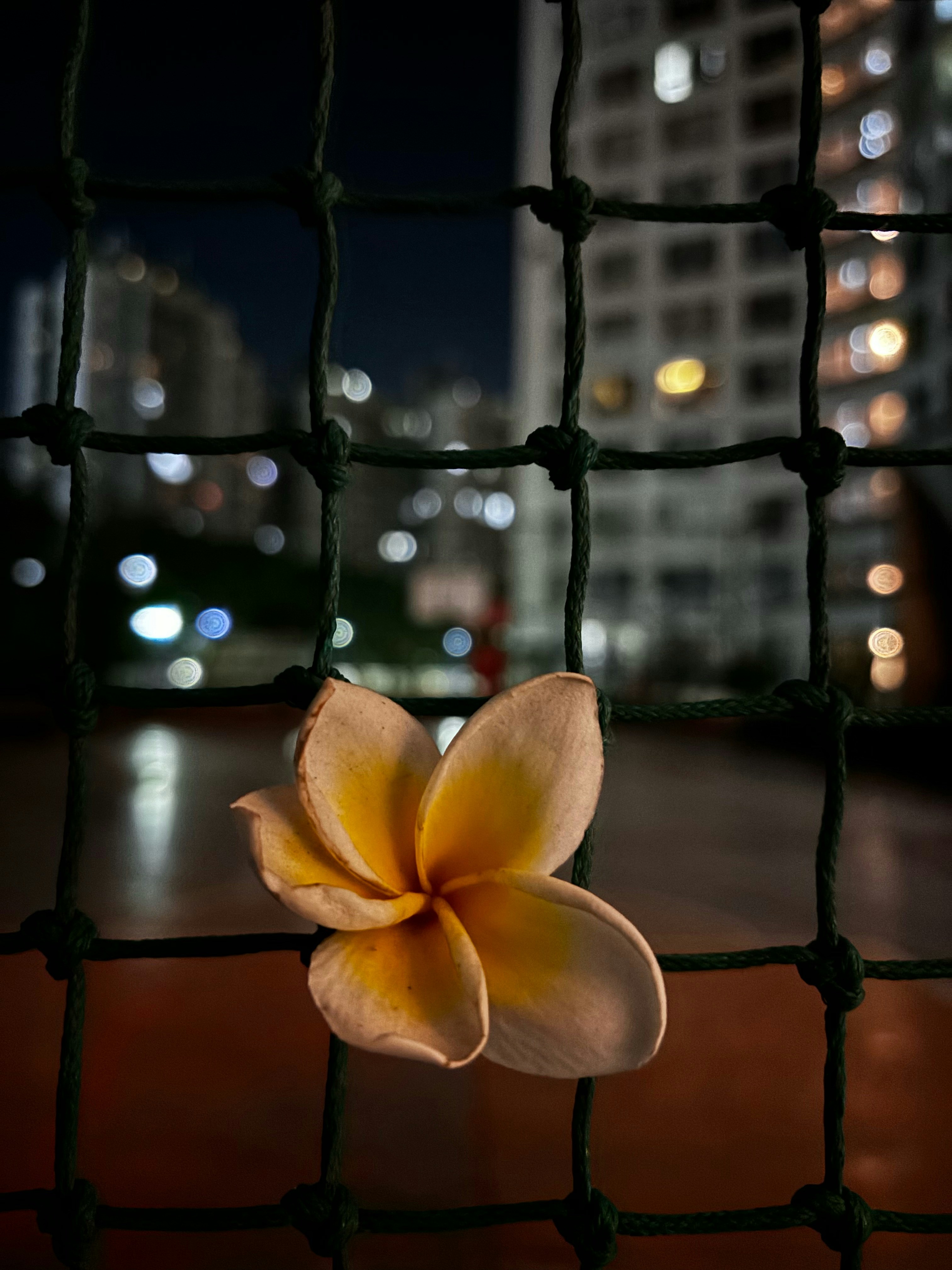 木製のテーブルの上に座っている黄色い花