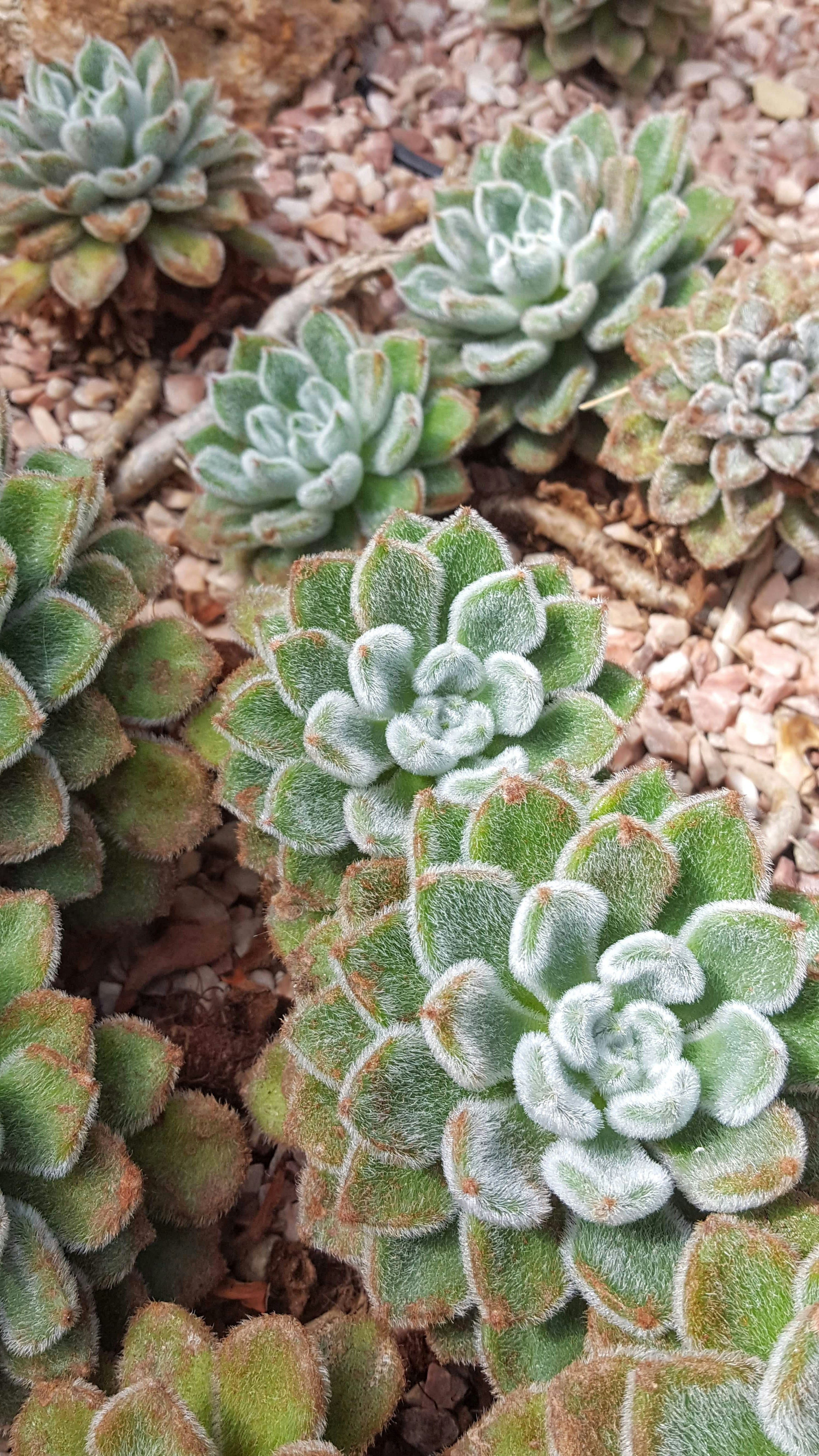 Photo by reading_rachel