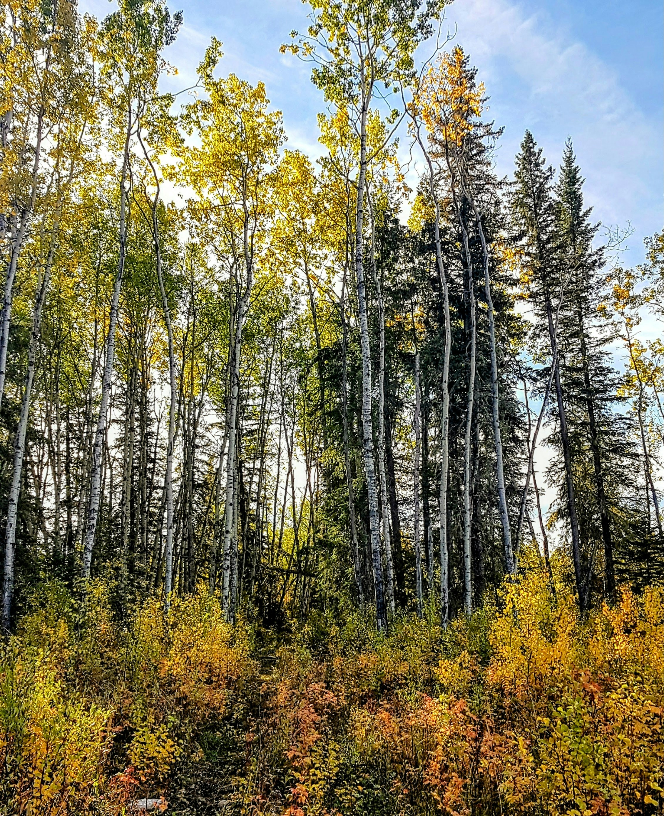 Photo by reading_rachel