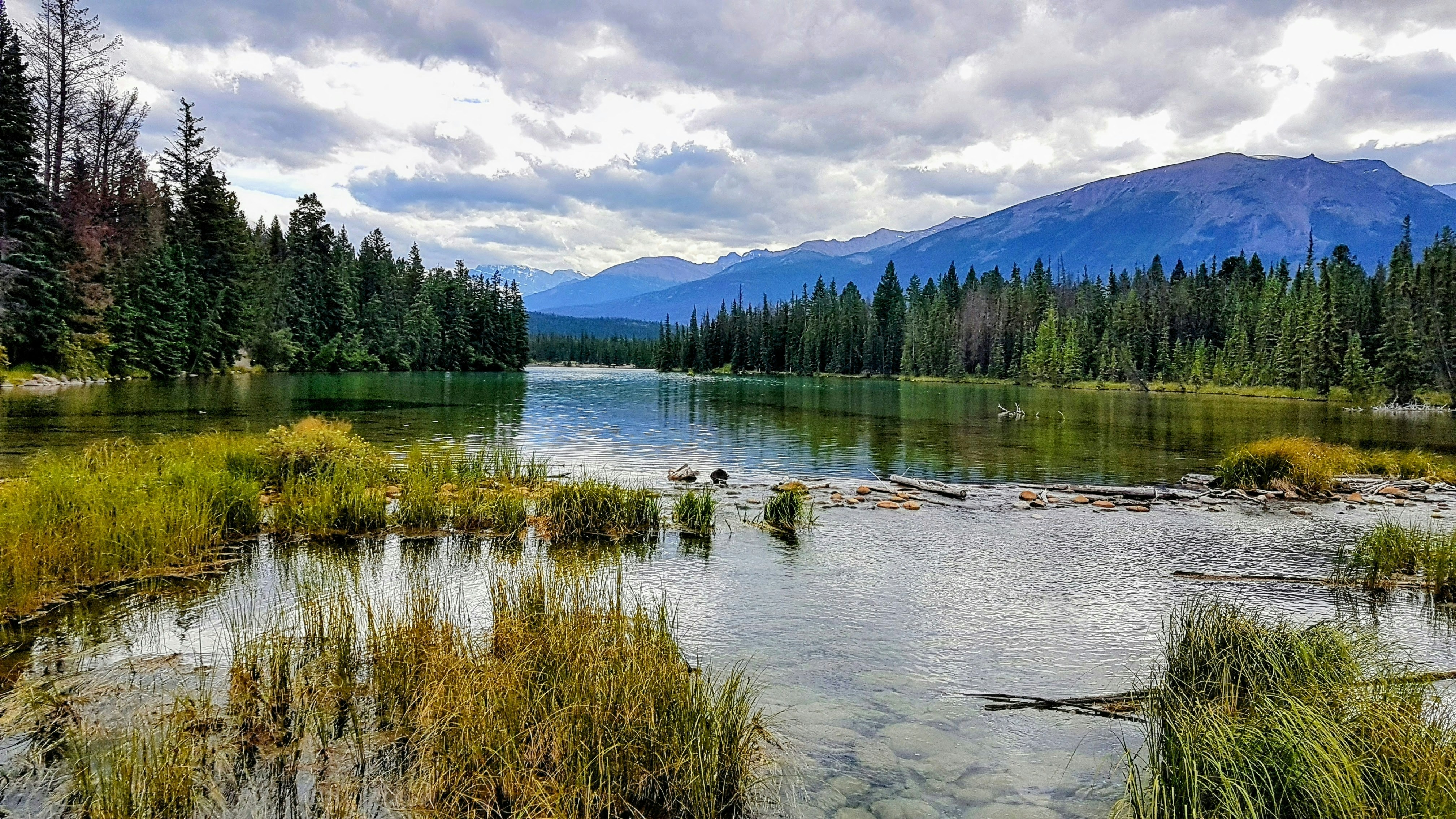 Photo by reading_rachel