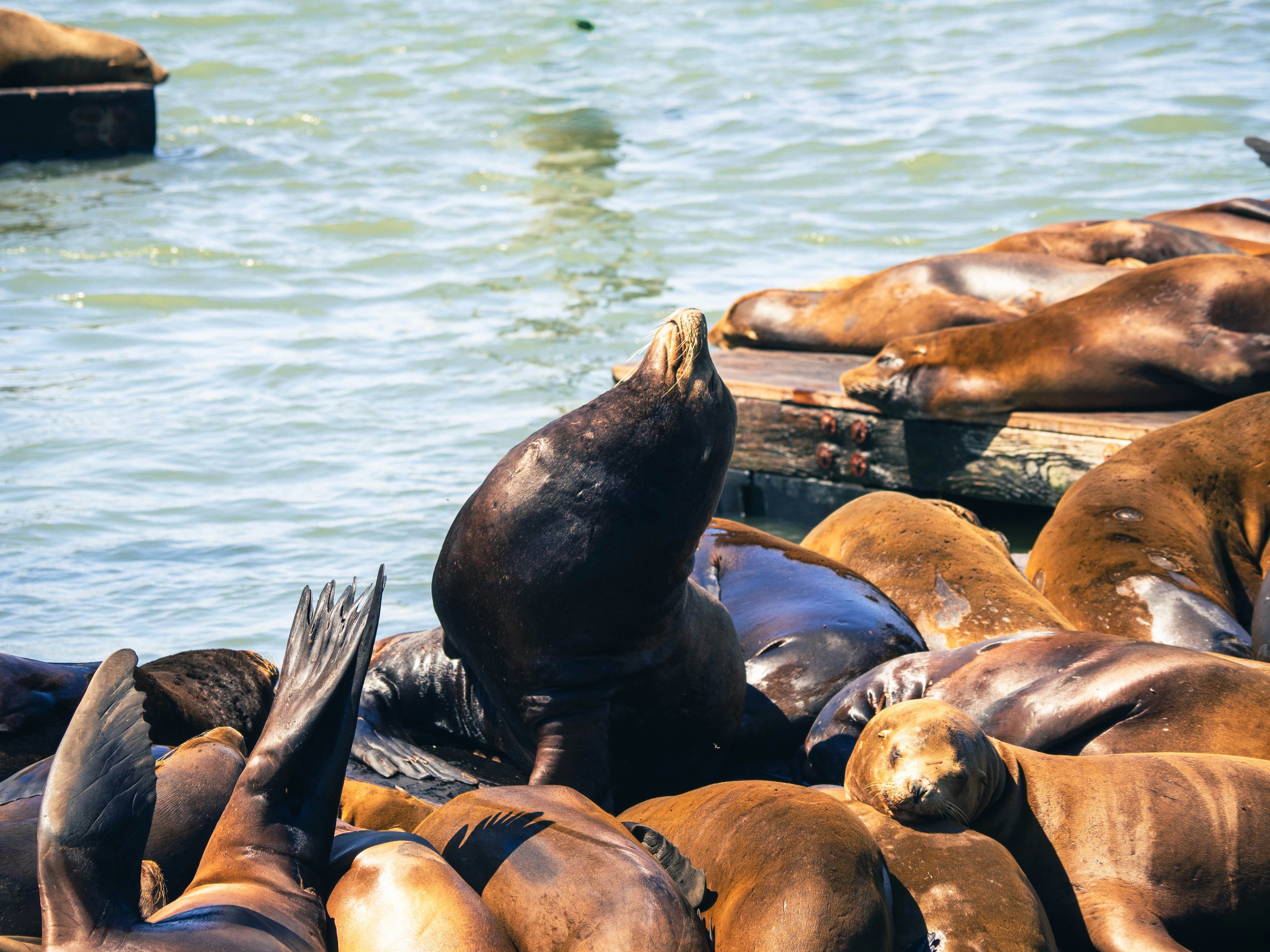 Photo by mszerszynski