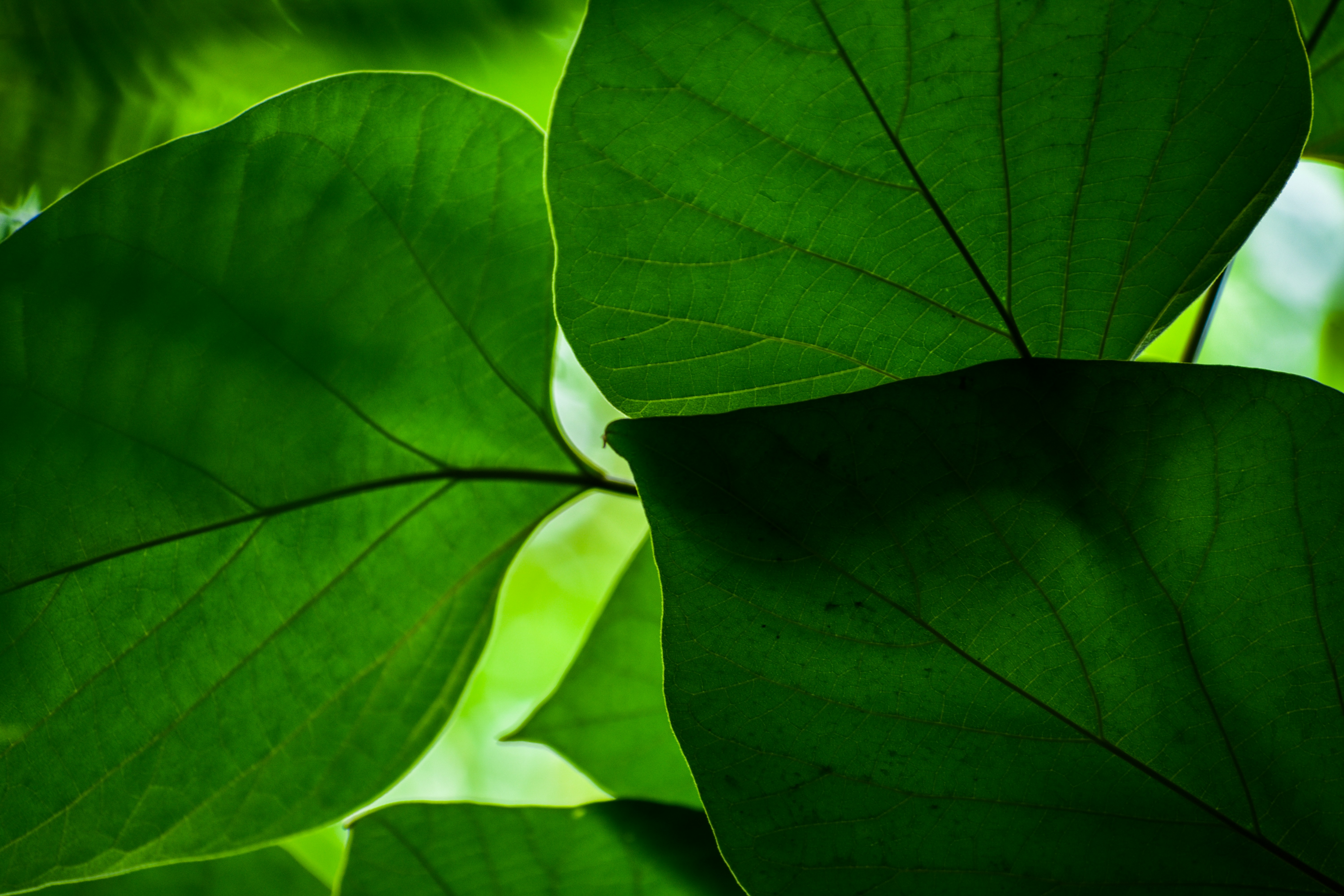 Photo by neelakshi_singh_