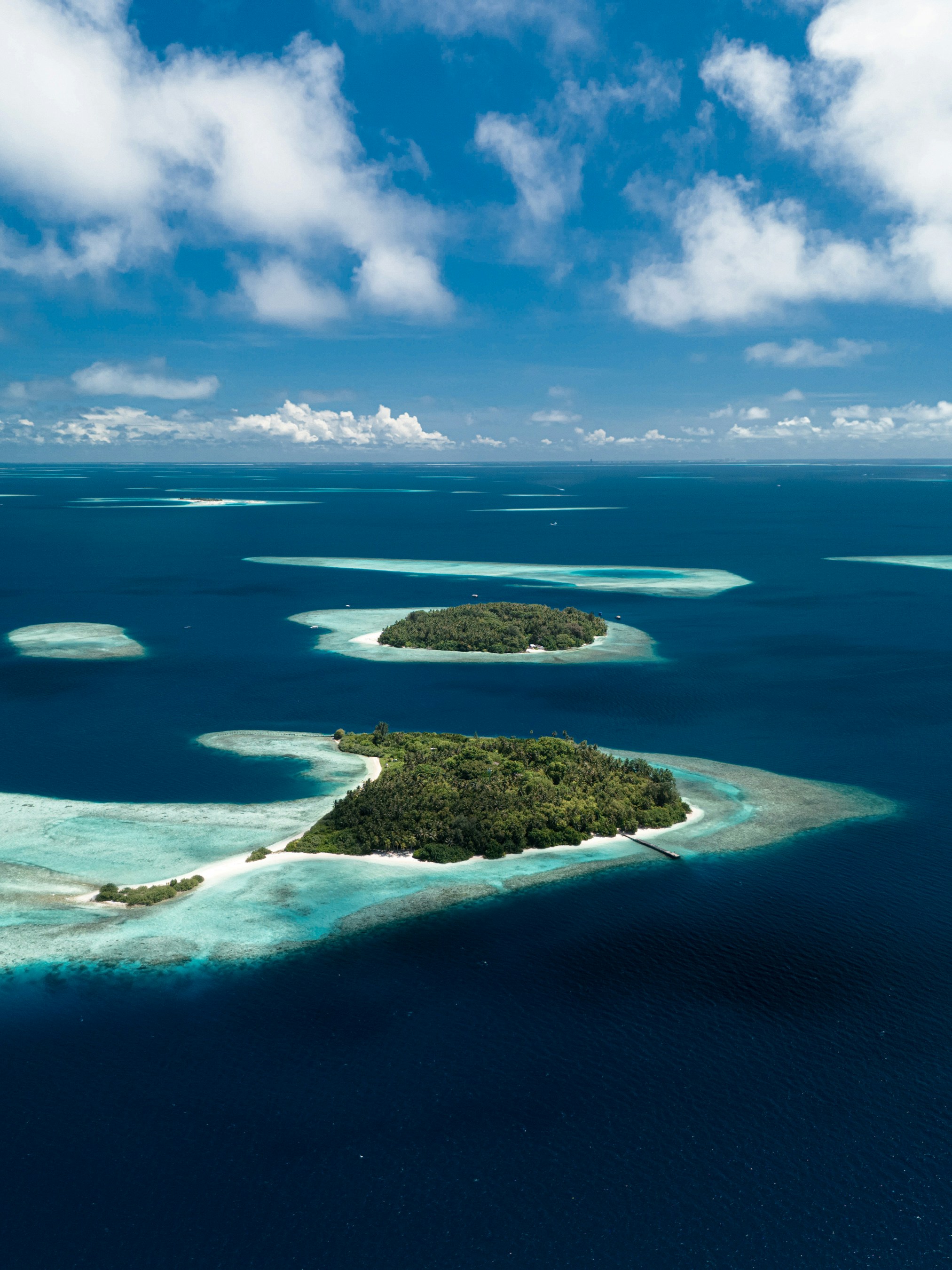 Photo by seefromtheoceans