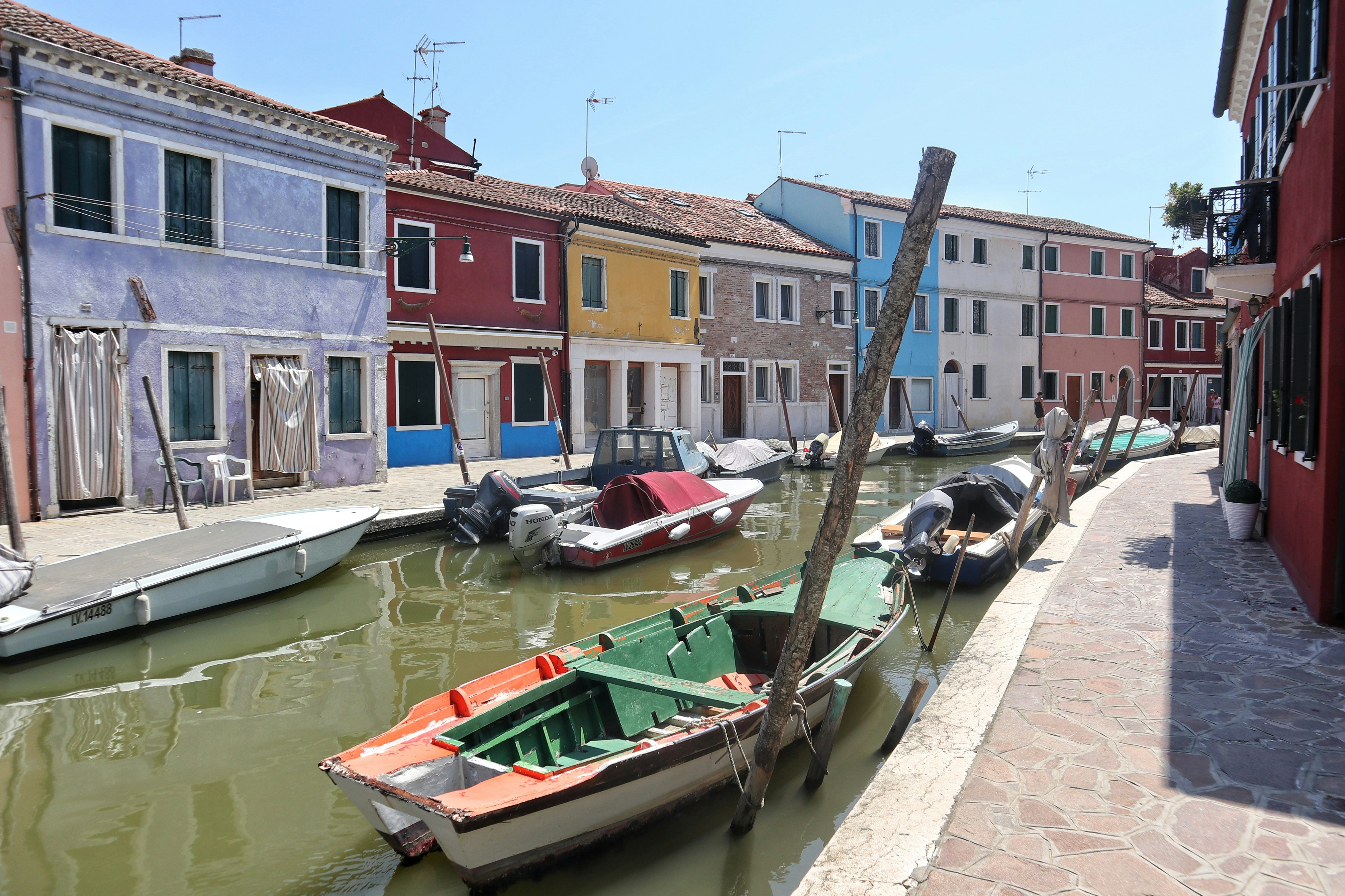 Photo by balint_miko