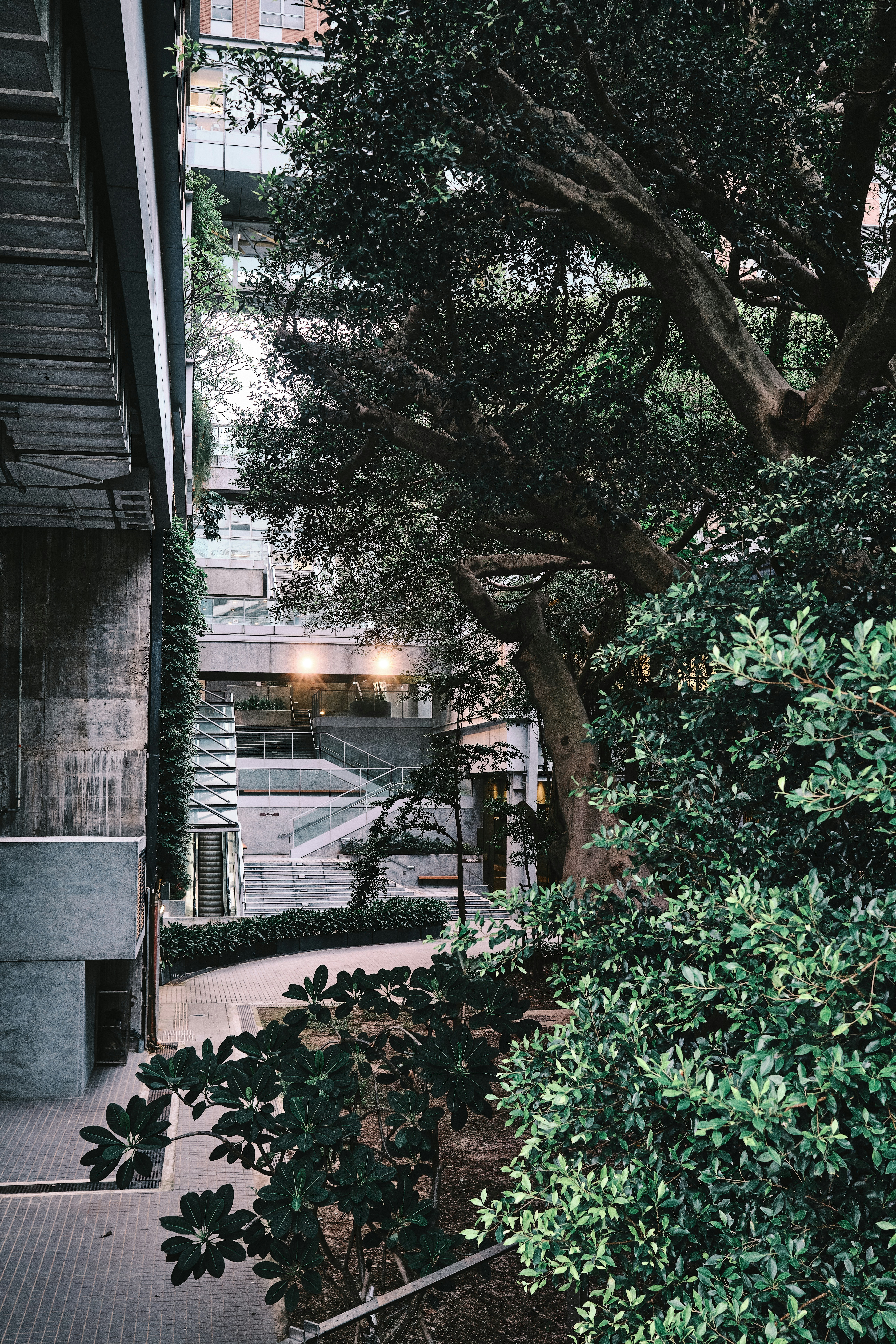 Photo by joaopratsphotography