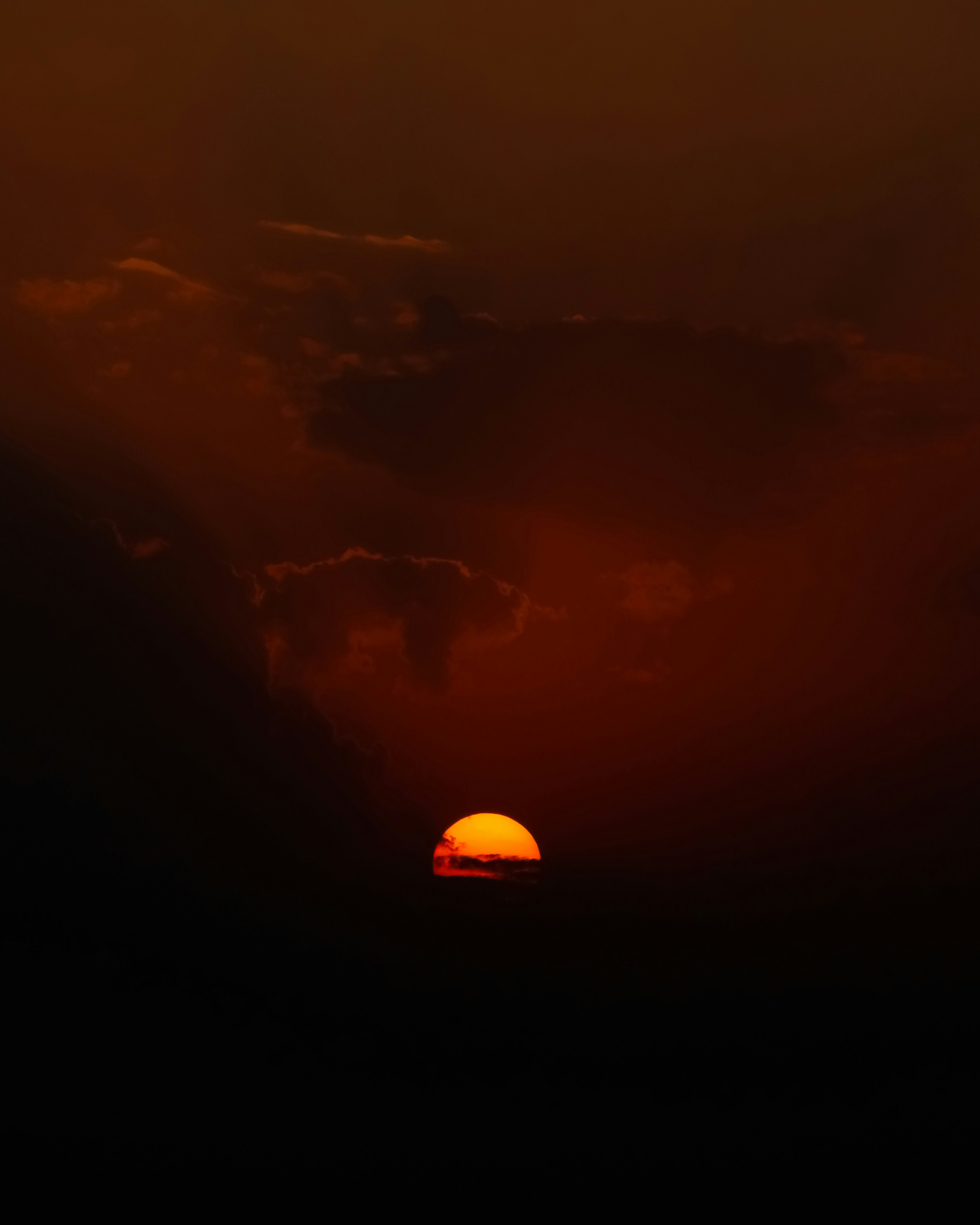 Photo by iamiliaafsharpoor