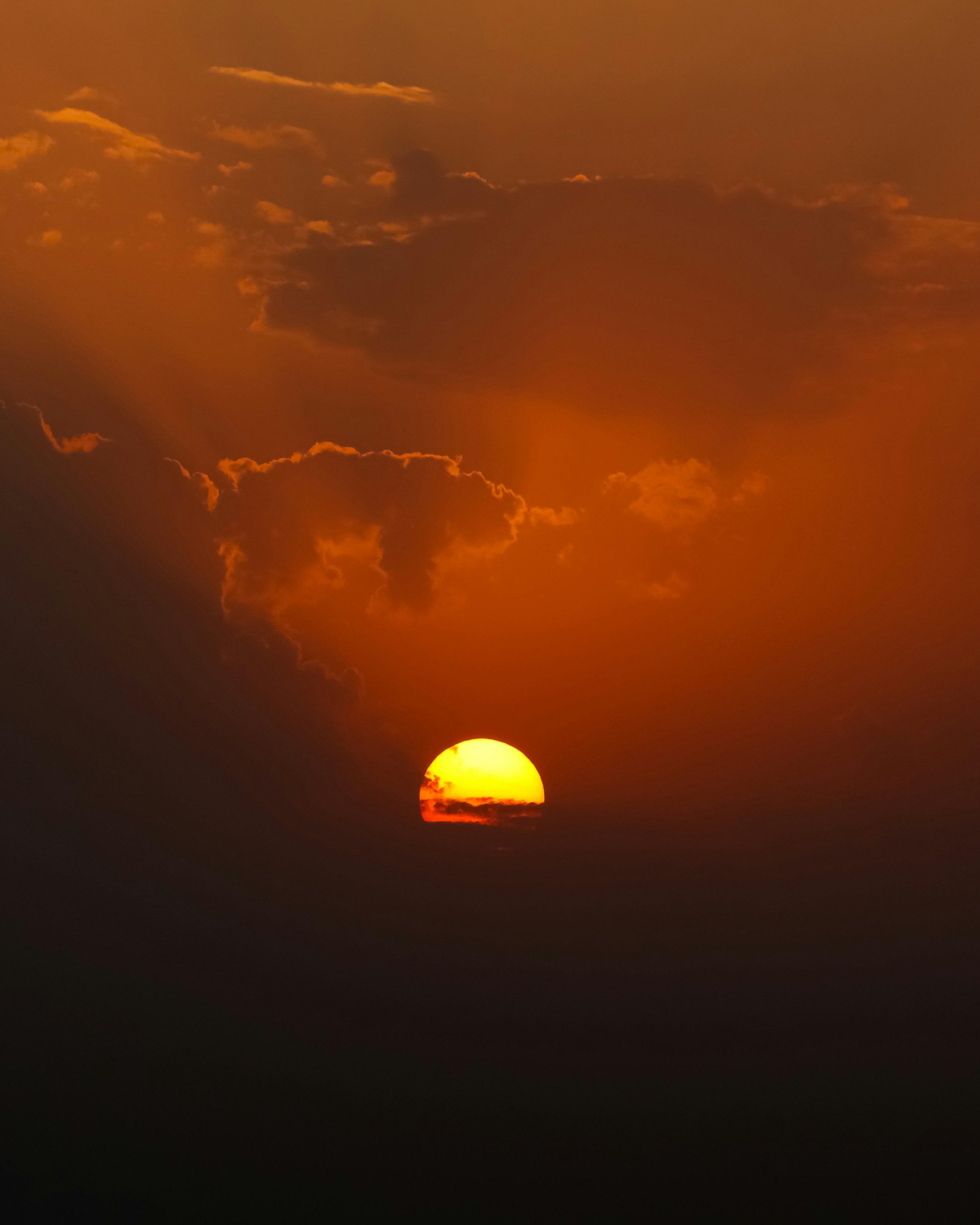 Photo by iamiliaafsharpoor