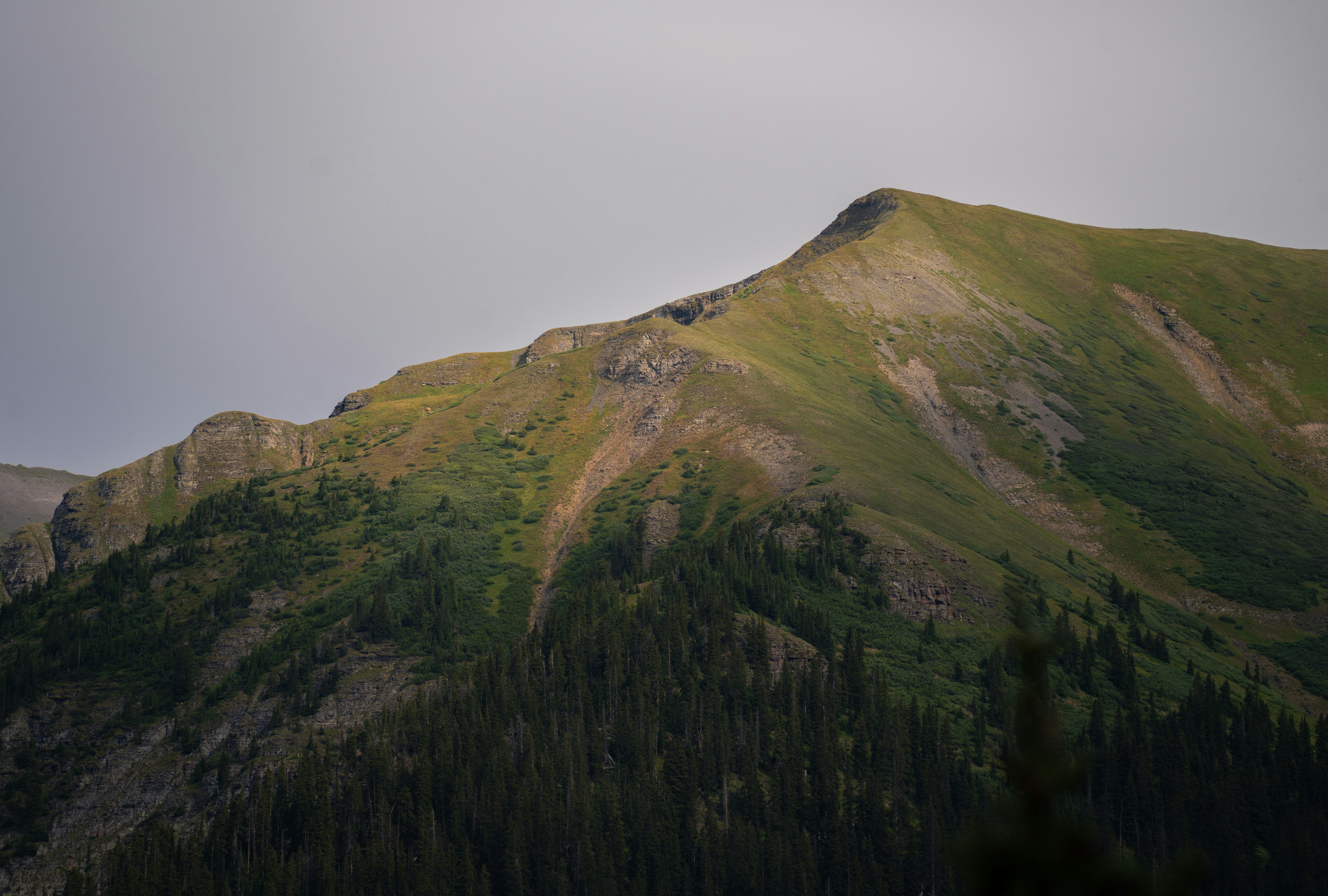 A view of a mountain with a bird flying over it