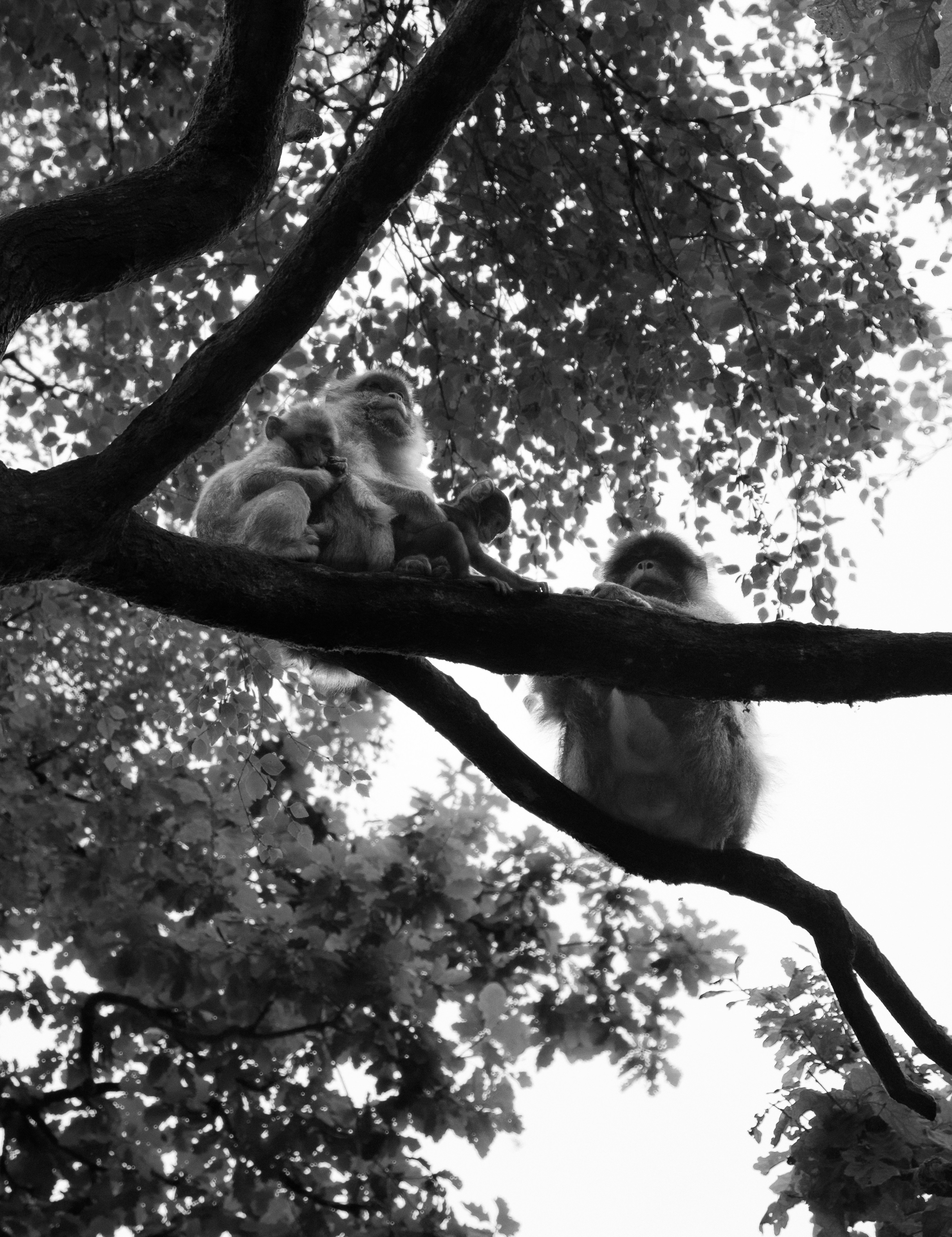 Photo by zacmeadowcroft