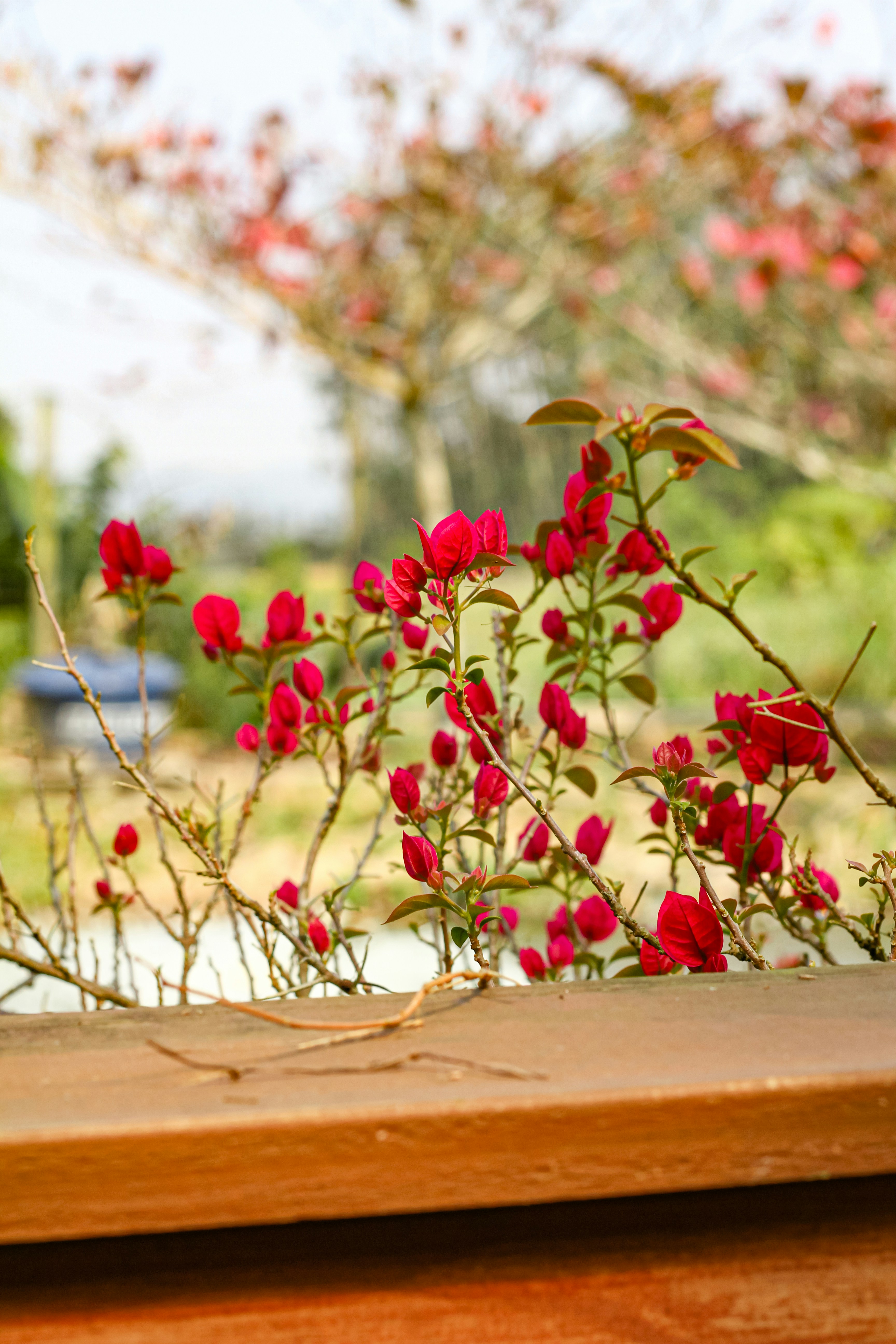 Photo by najoi_designer