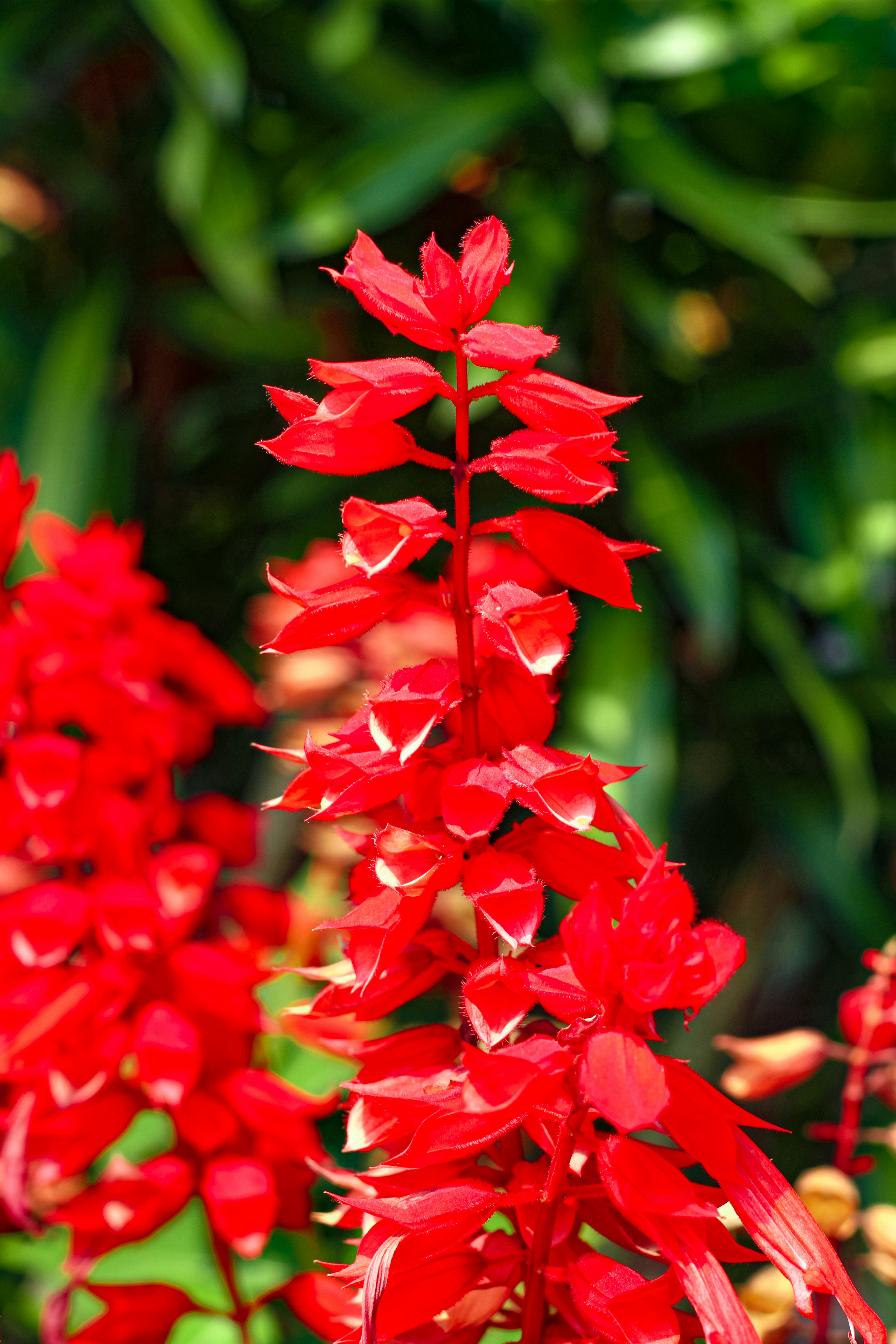 Photo by najoi_designer