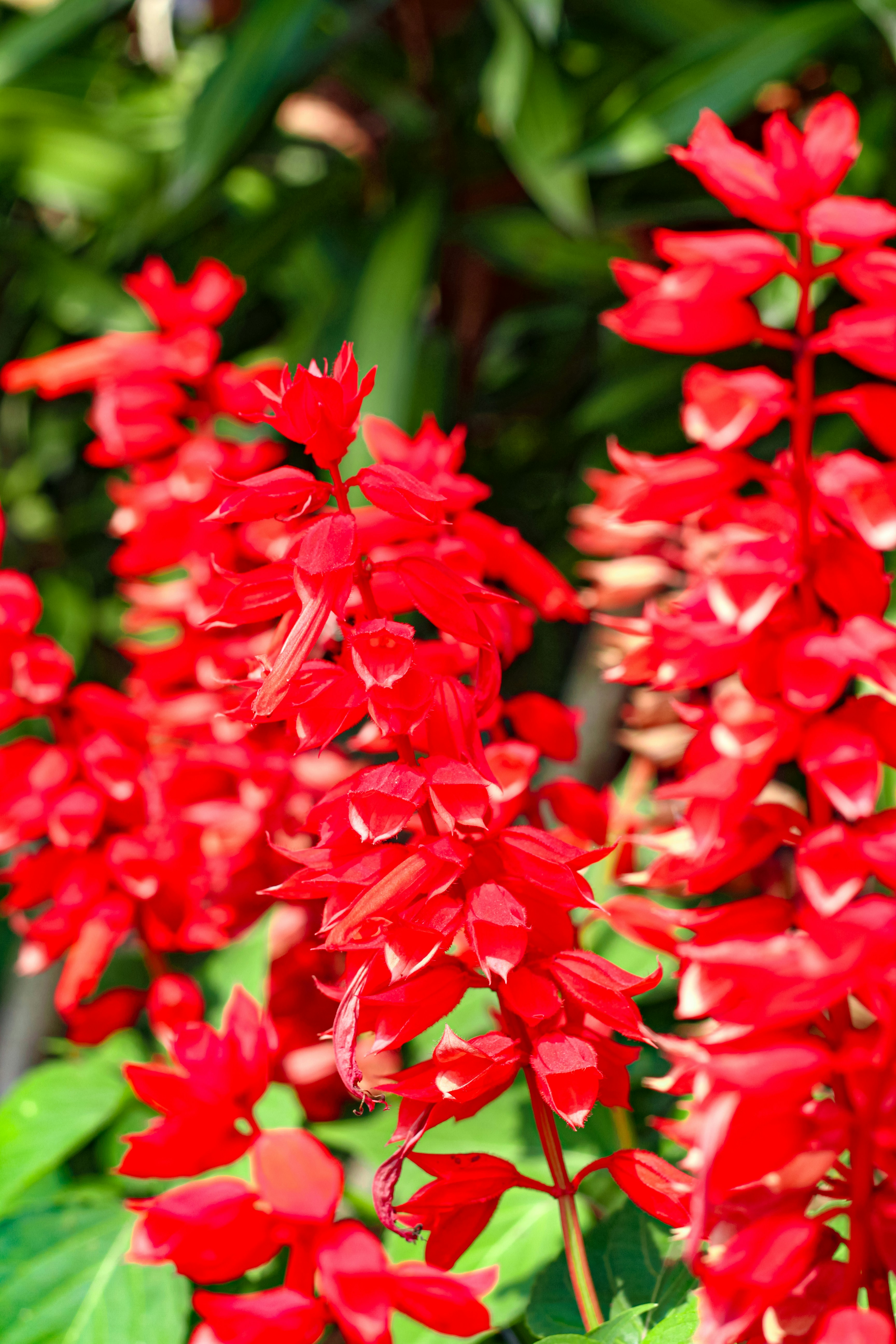 Photo by najoi_designer