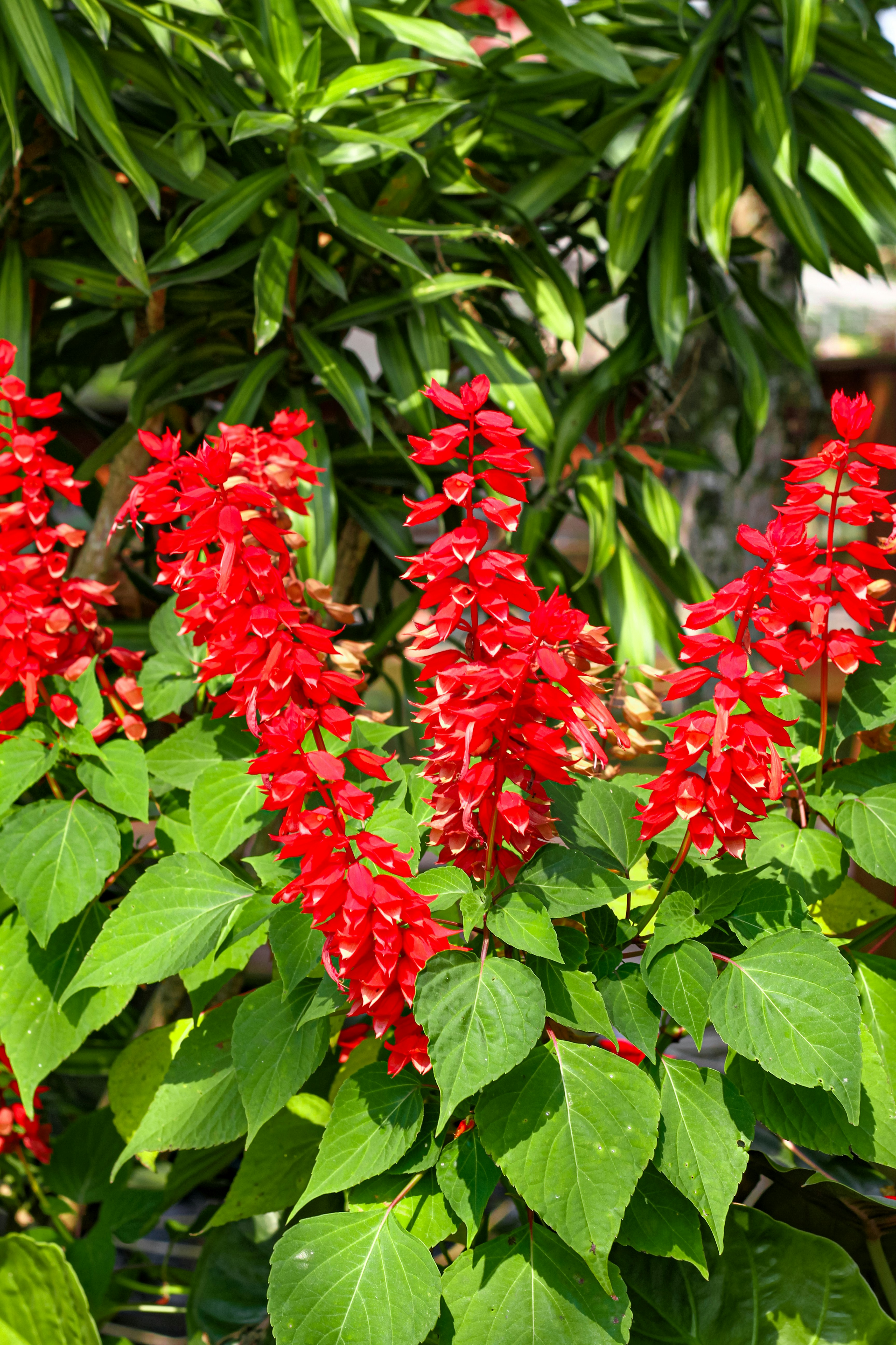 Photo by najoi_designer