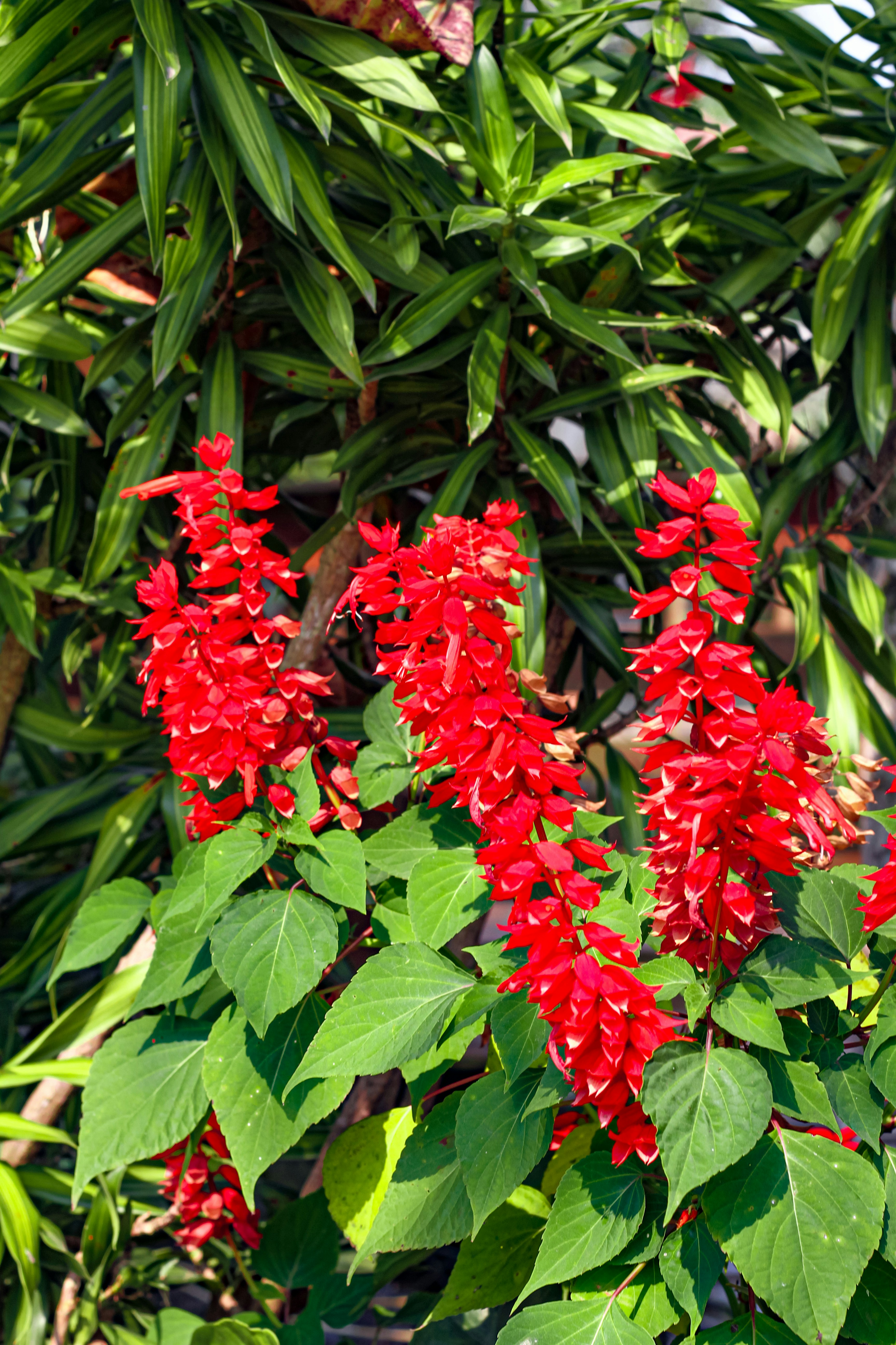 Photo by najoi_designer