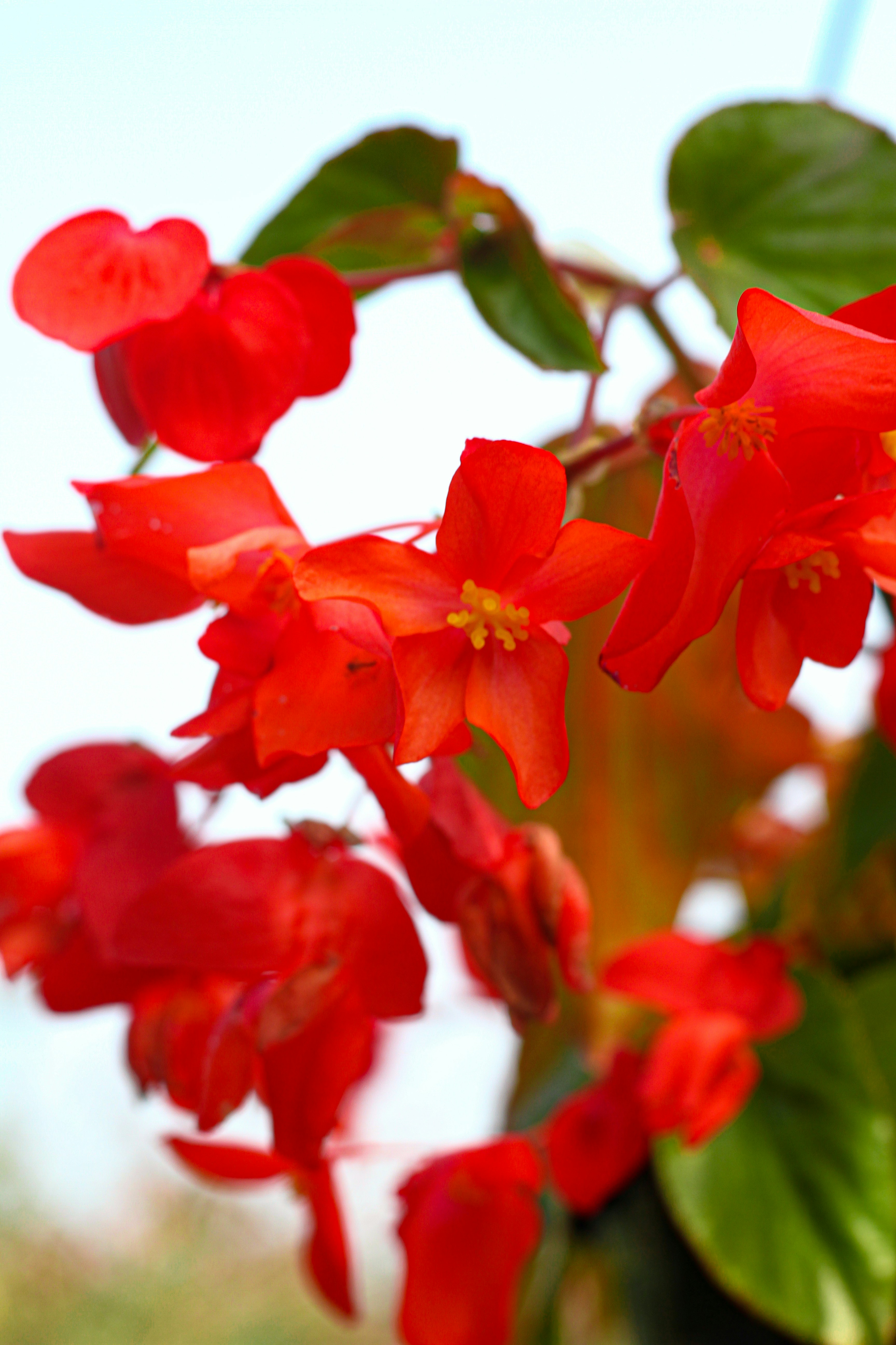 Photo by najoi_designer