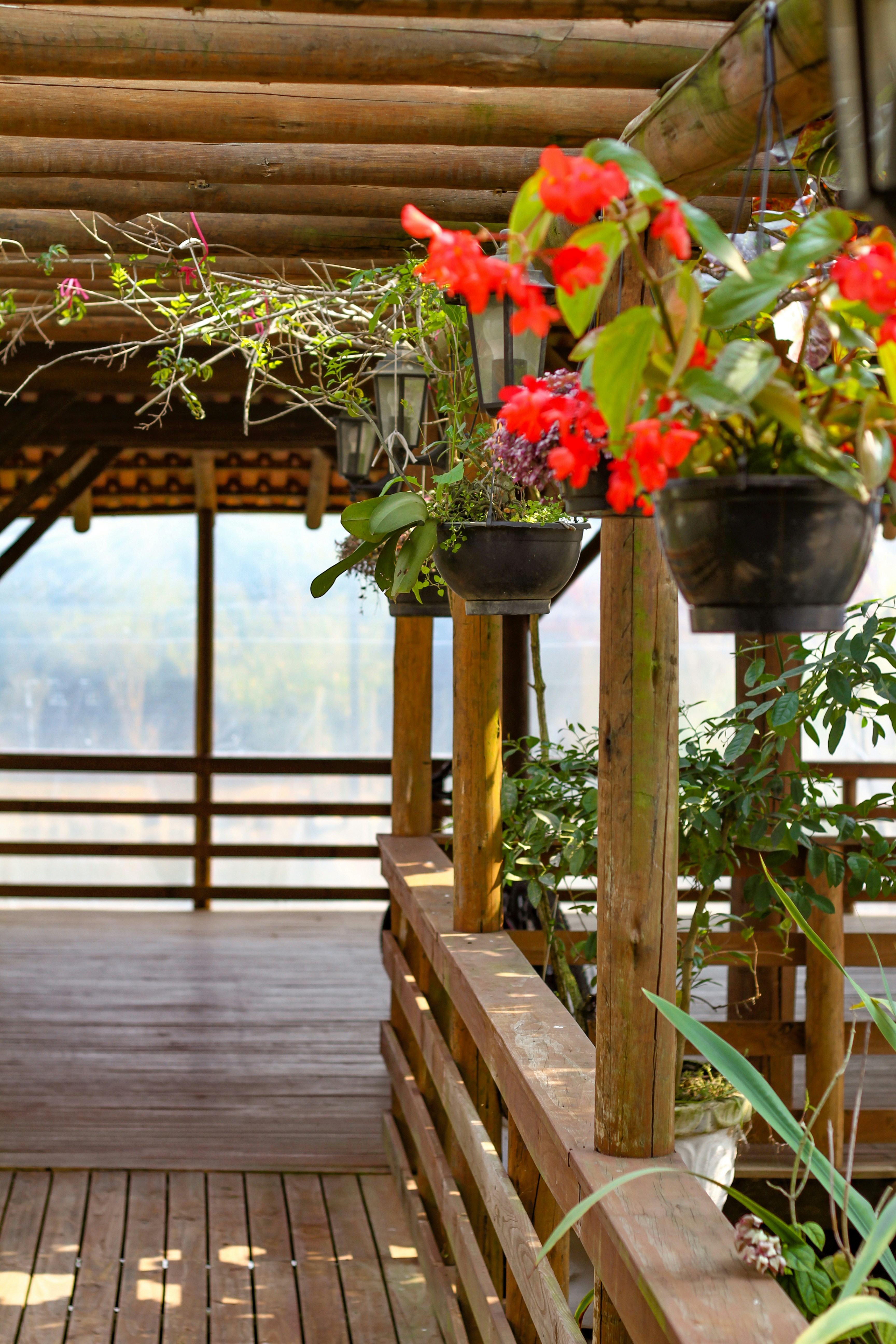 Photo by najoi_designer