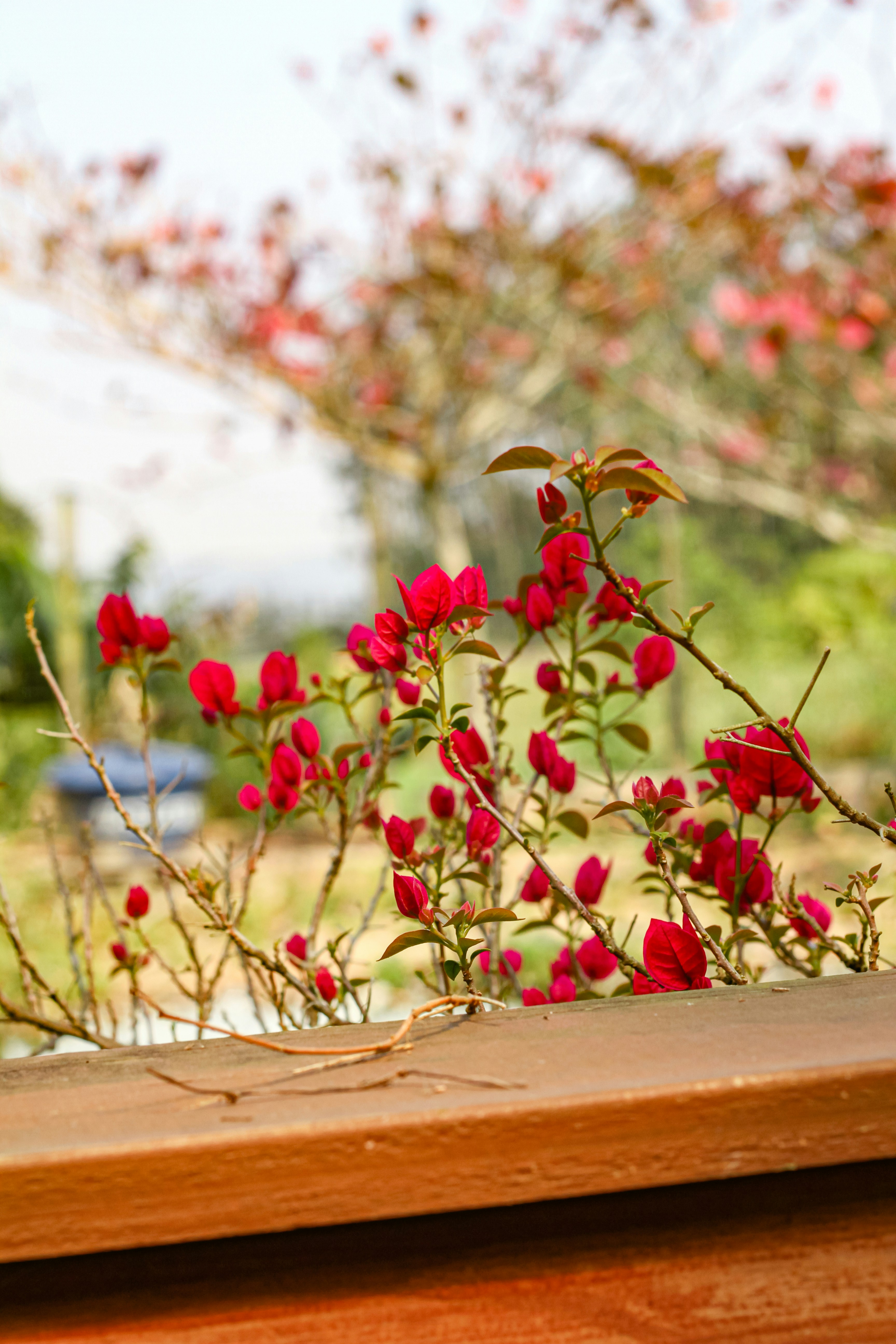 Photo by najoi_designer