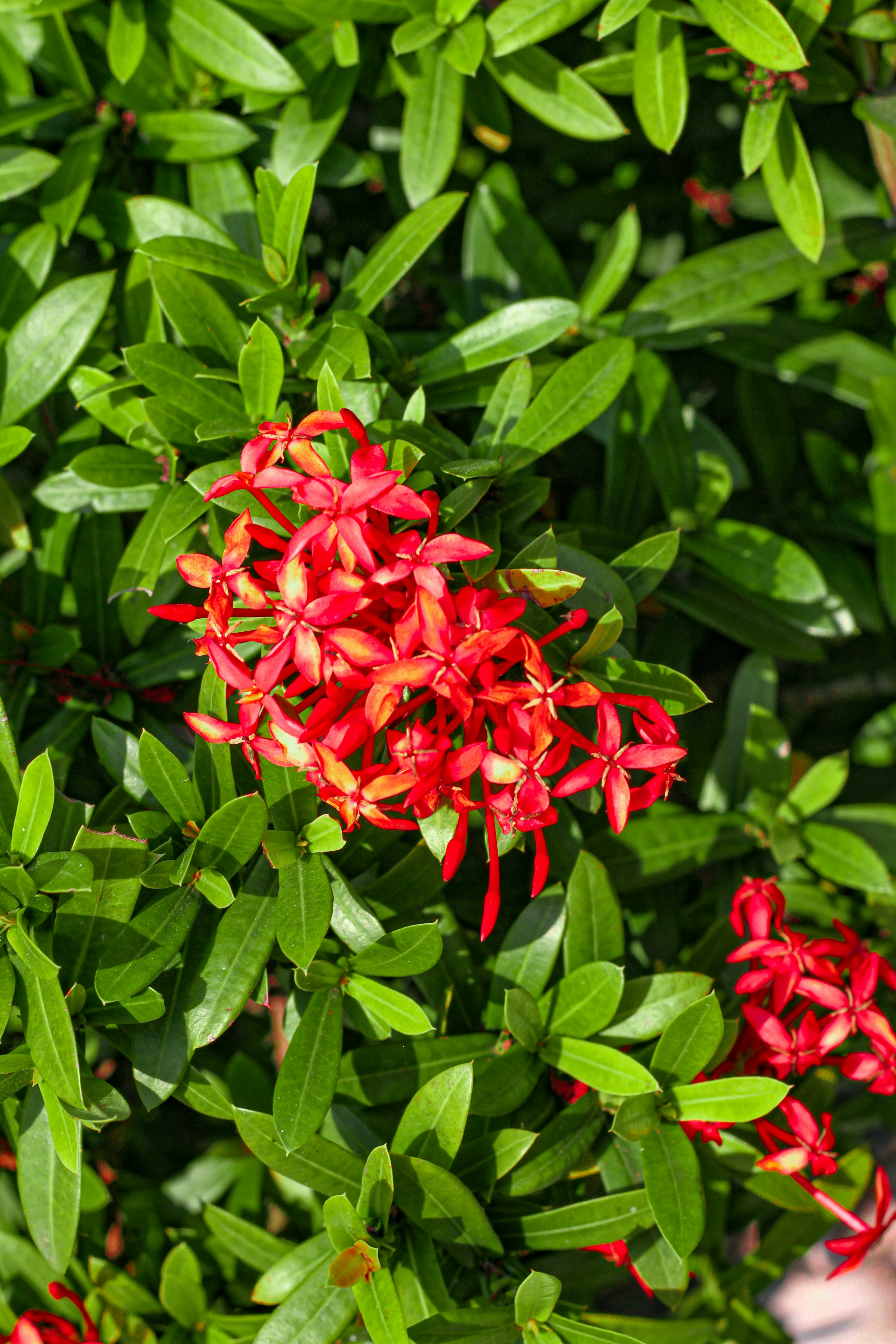 Photo by najoi_designer