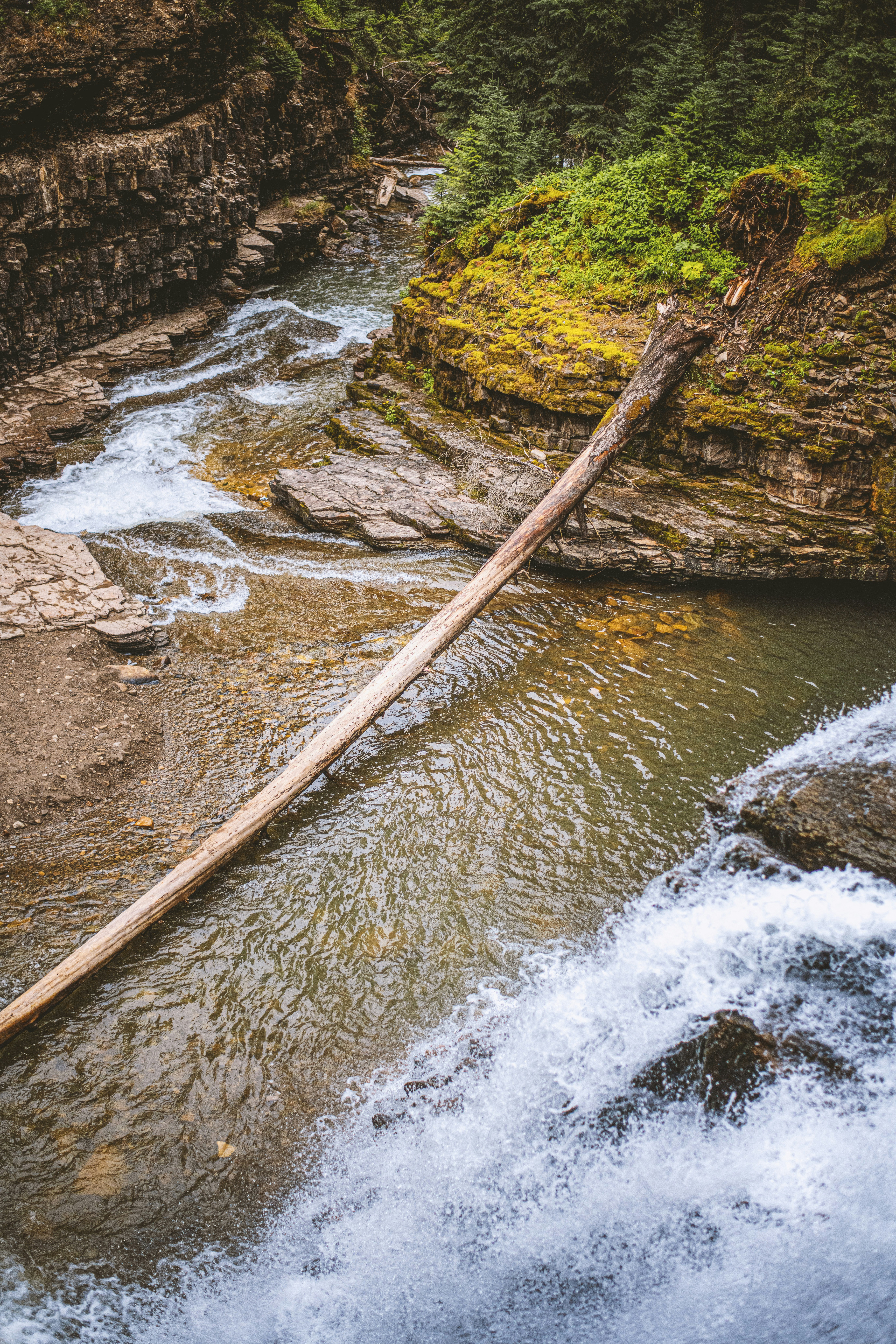 A wooden stick sticking out of a river