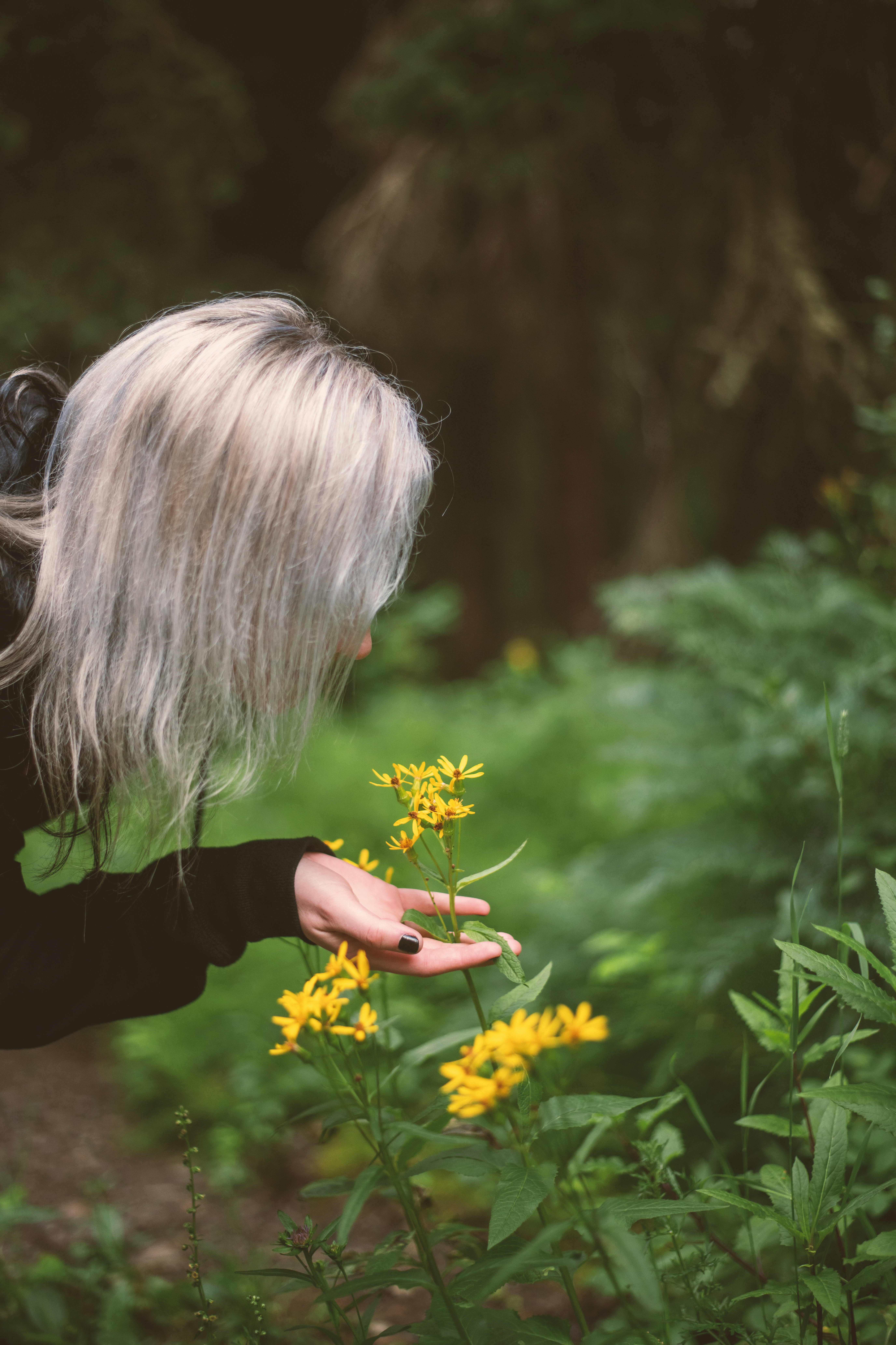 A woman with white hair is picking flowers