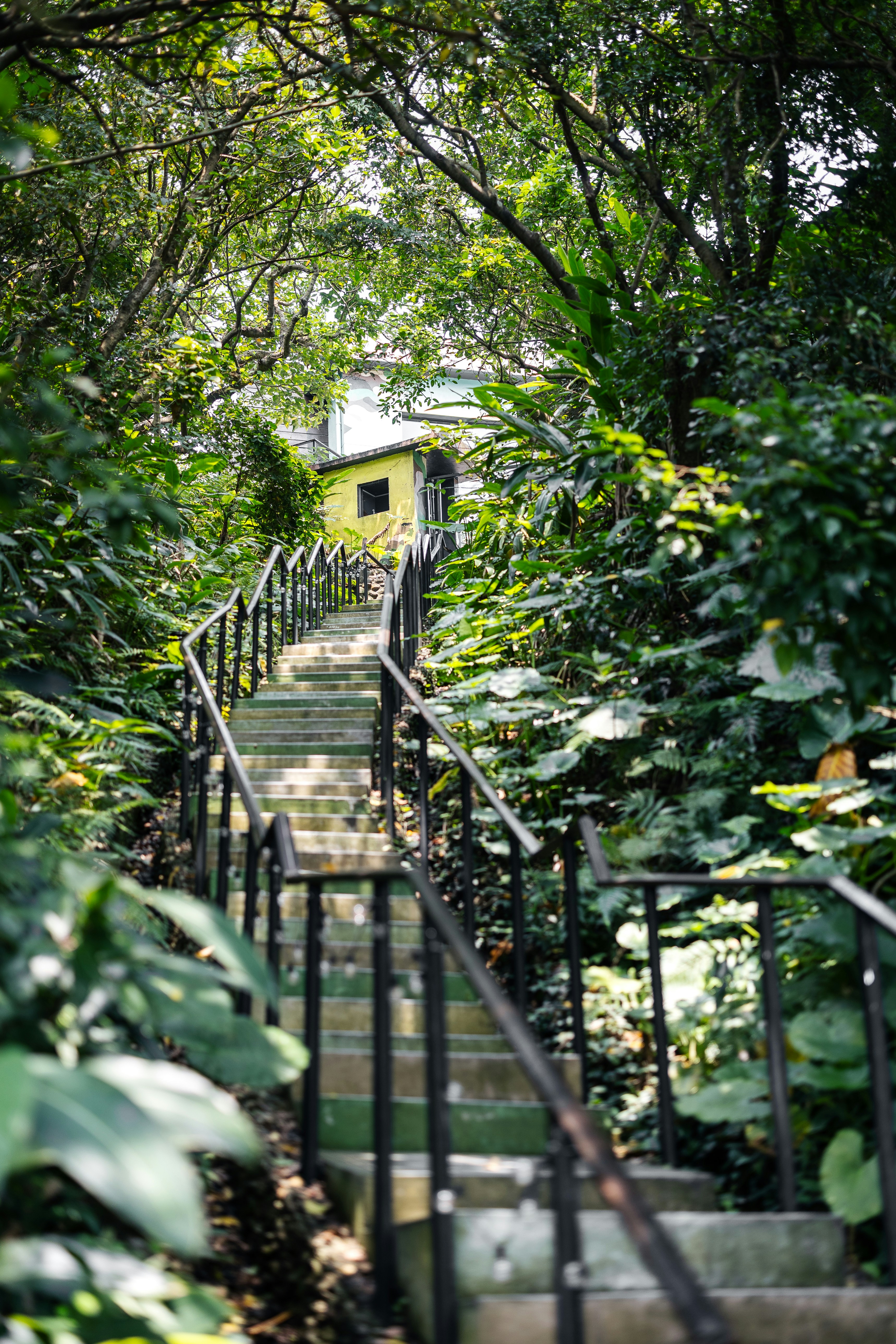 Photo by marekpiwnicki