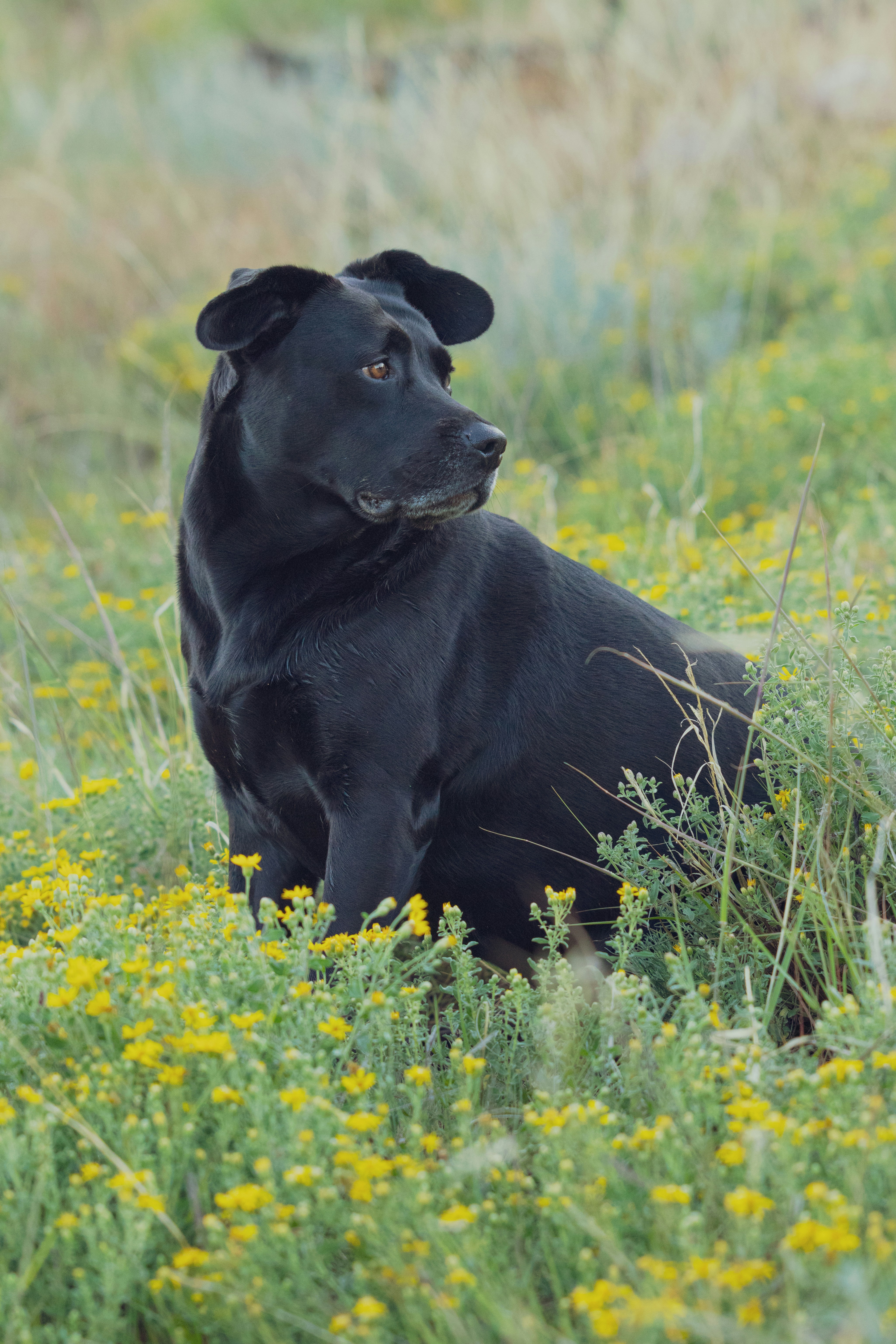 Photo by brandonstoll