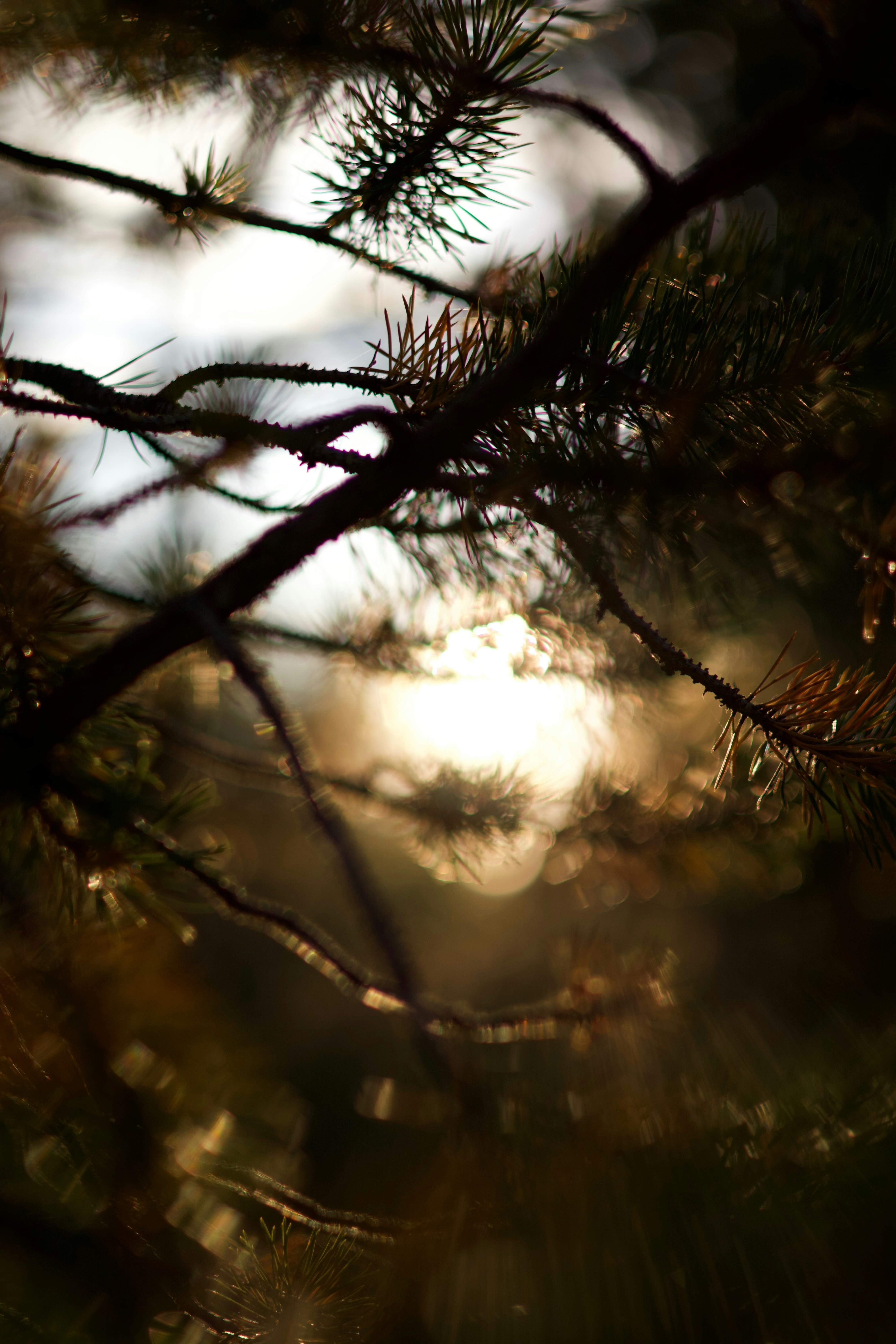 Photo by matteoscanferla