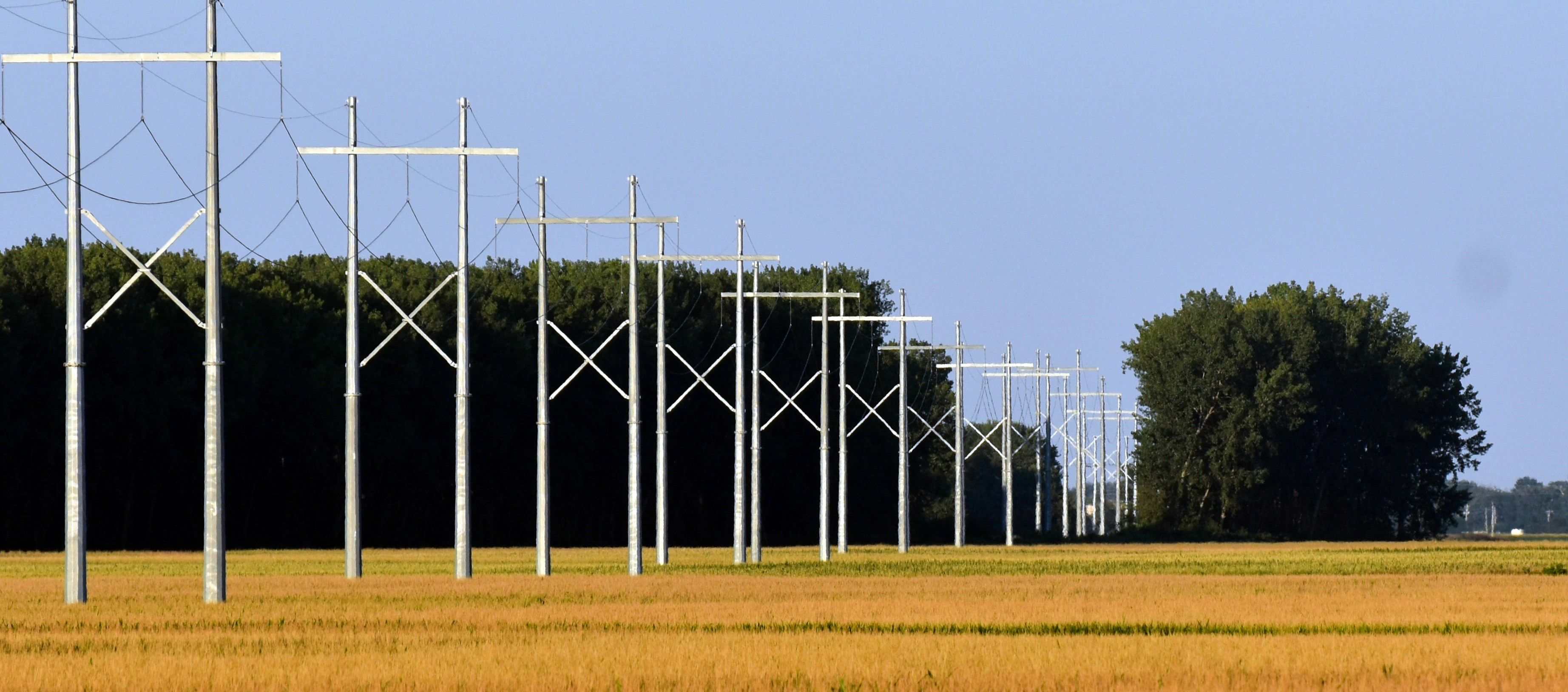 A row of poles in a field with trees in the background
