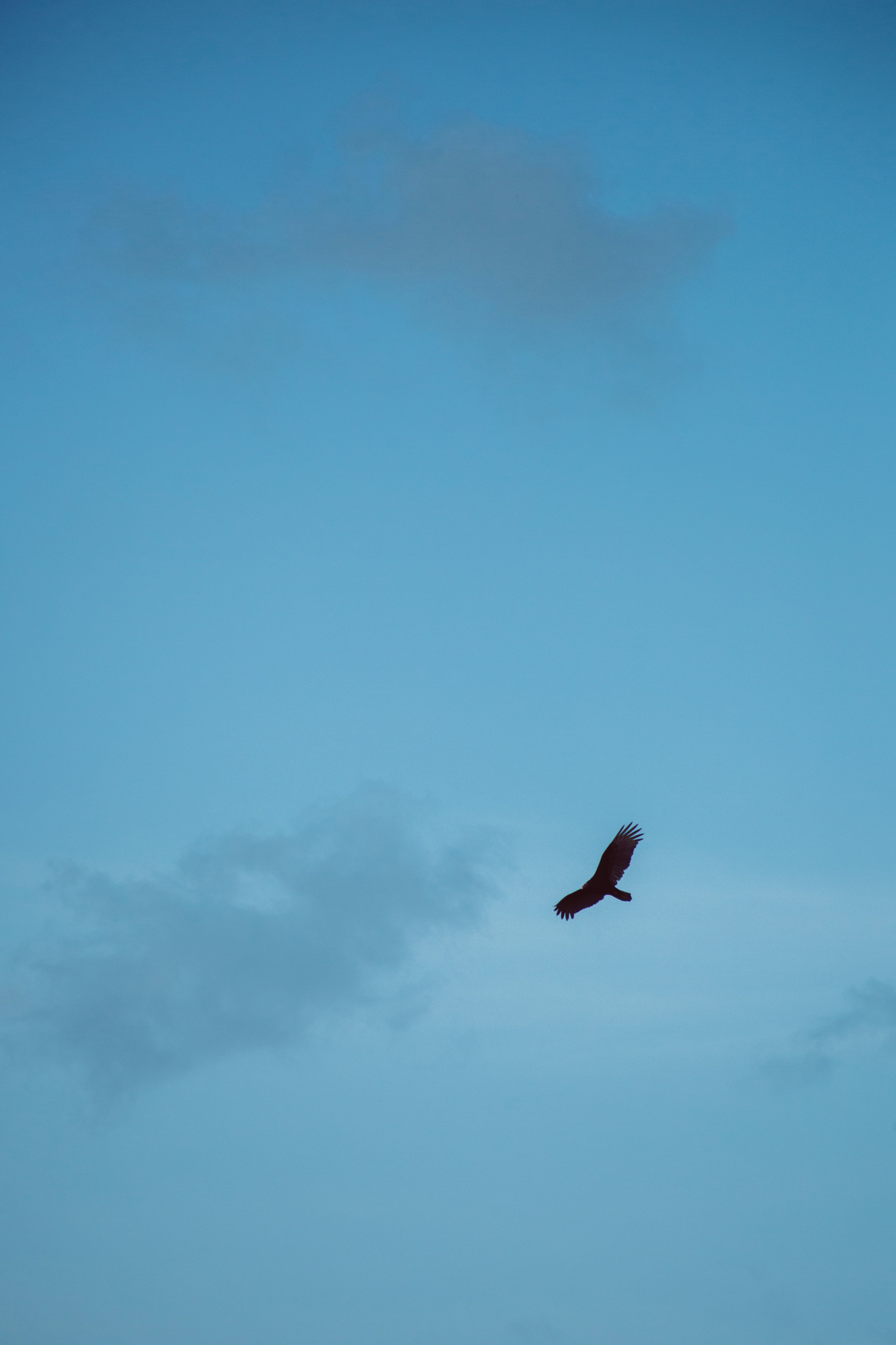 Photo by dantecandal