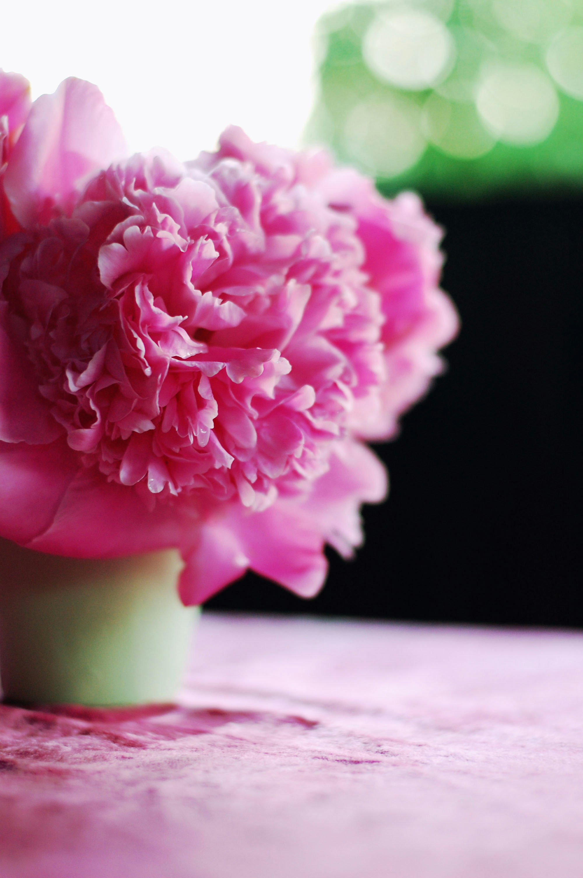 Photo by dinamakhmutova