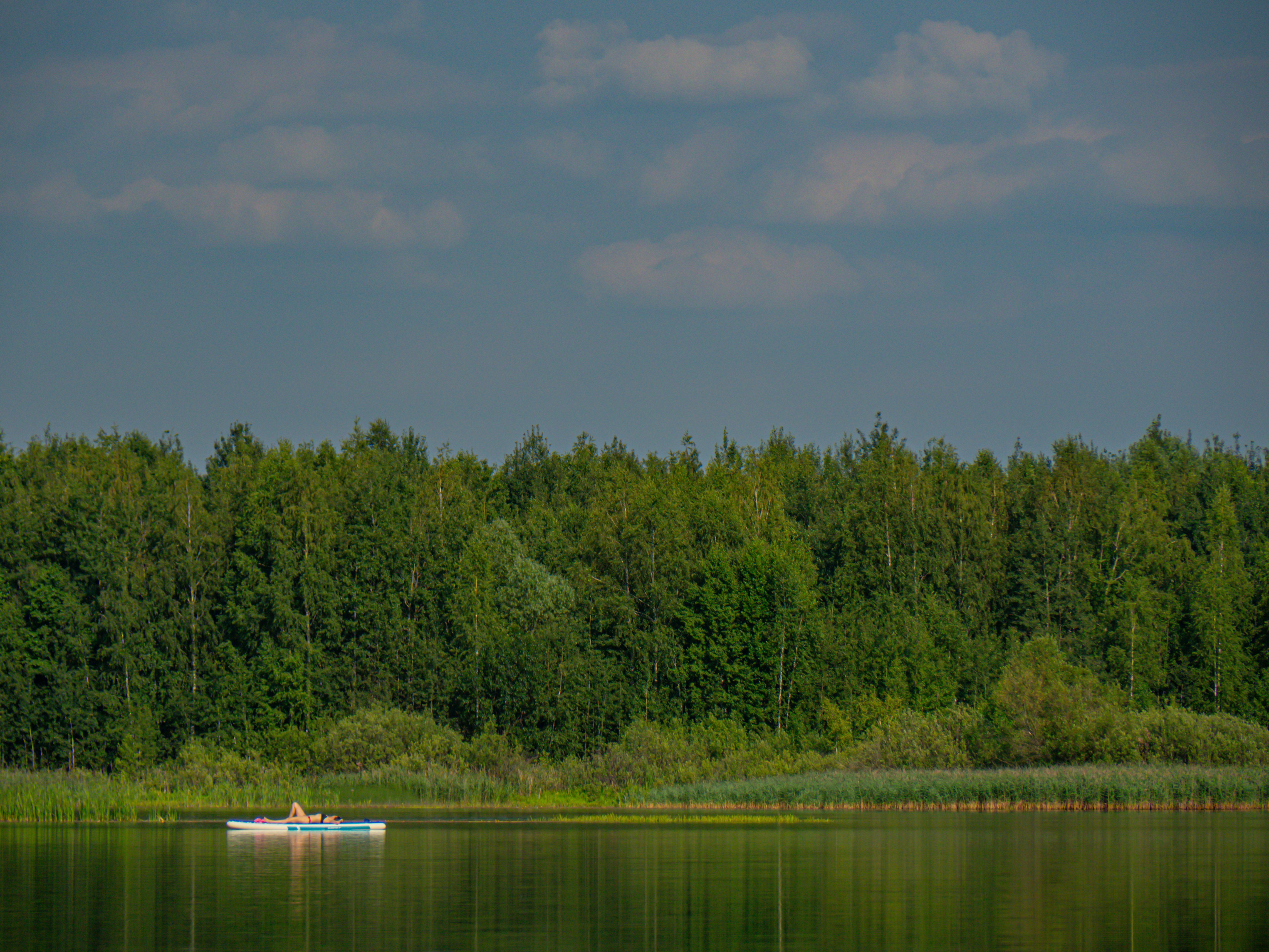 A small boat floating on top of a lake next to a forest