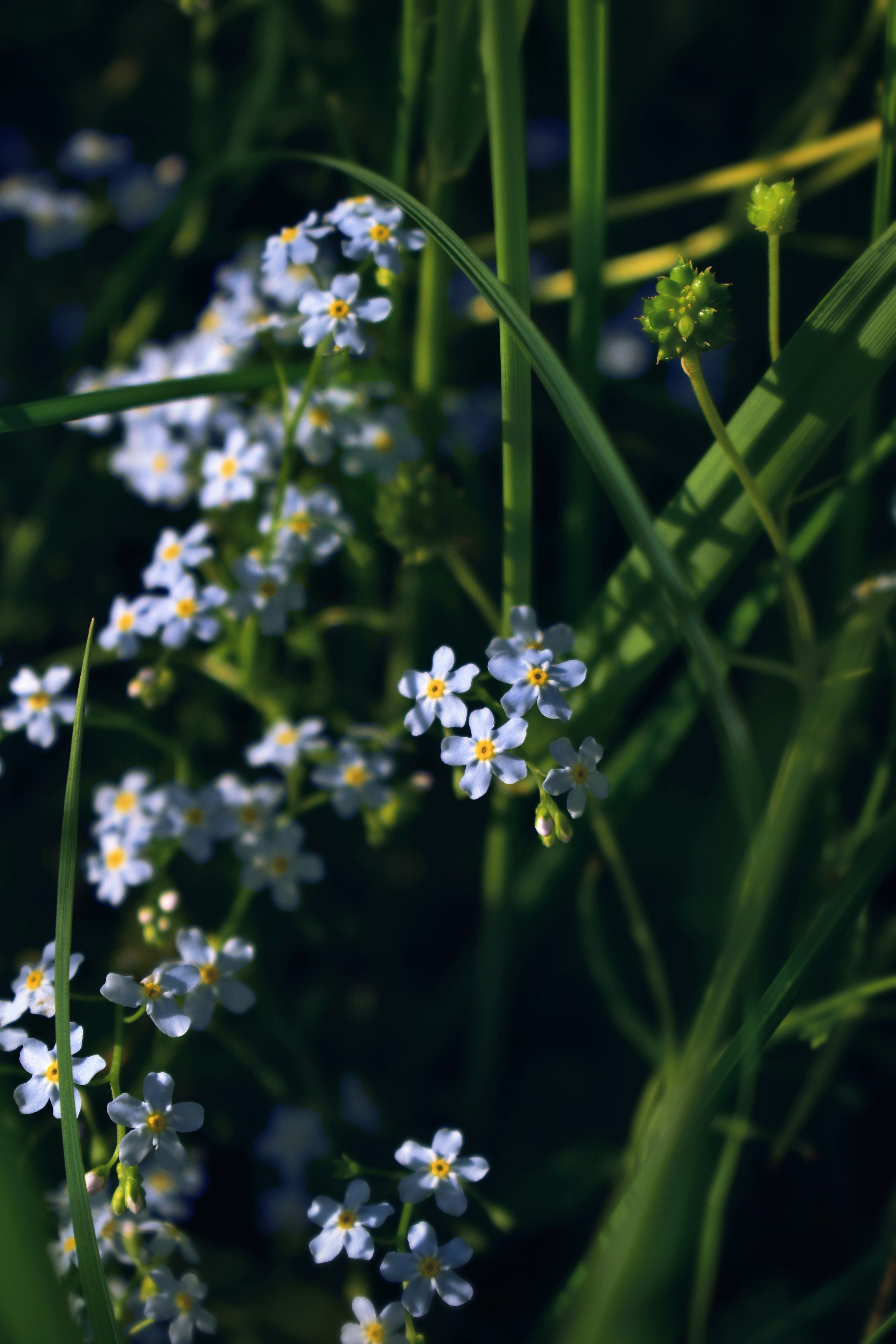 Photo by polina_grishma