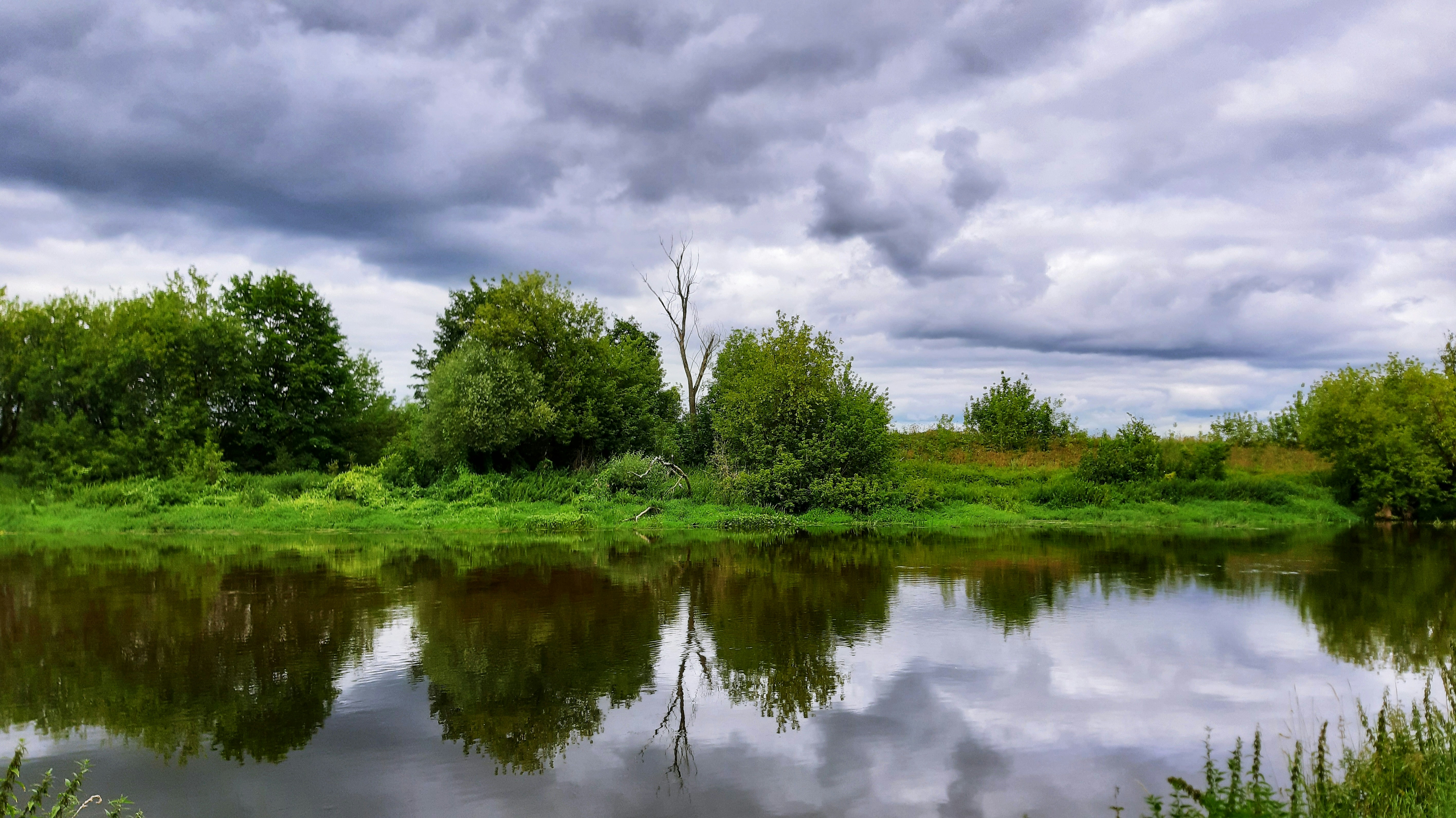 Photo by anantapalan