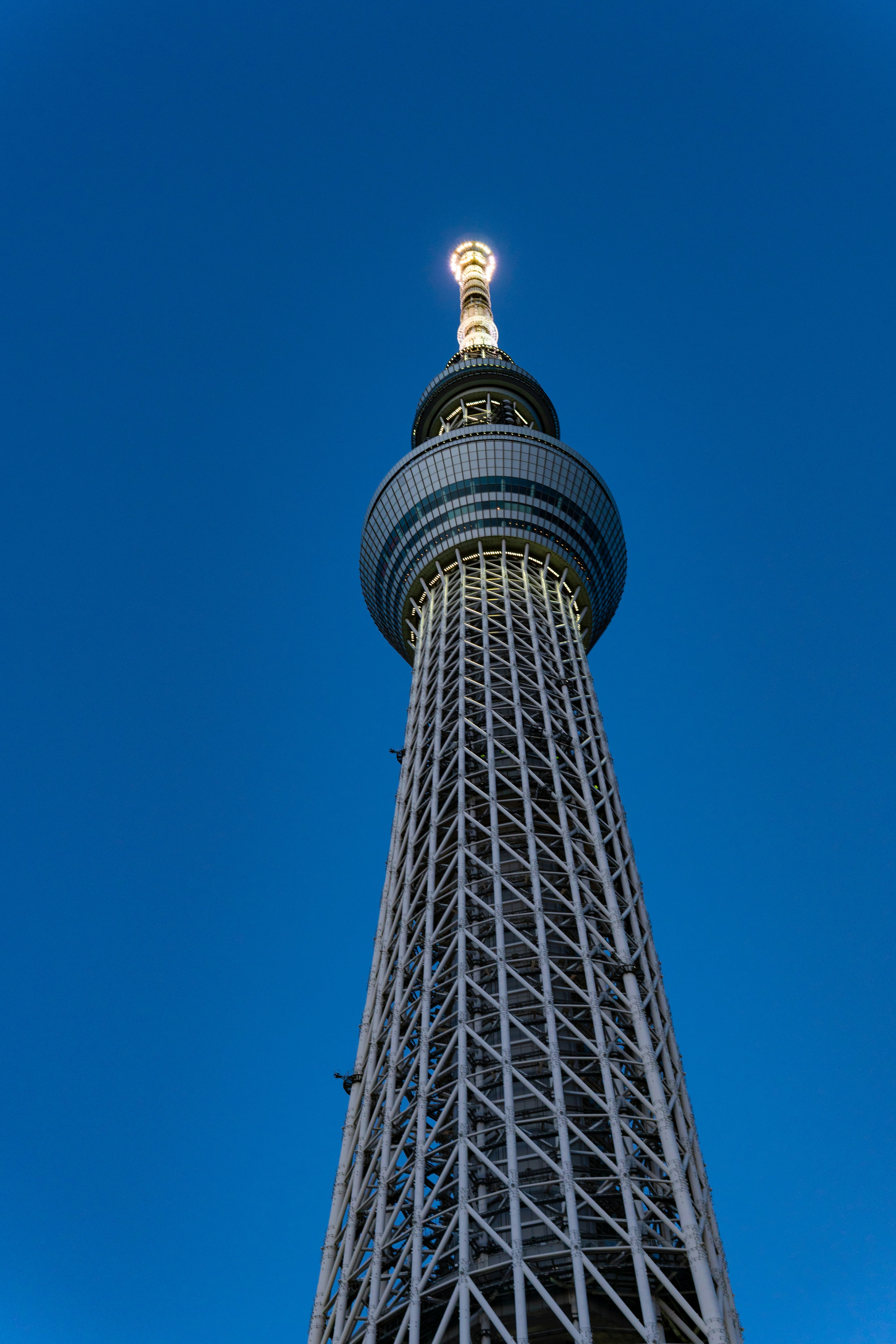 Photo by suyashmahar