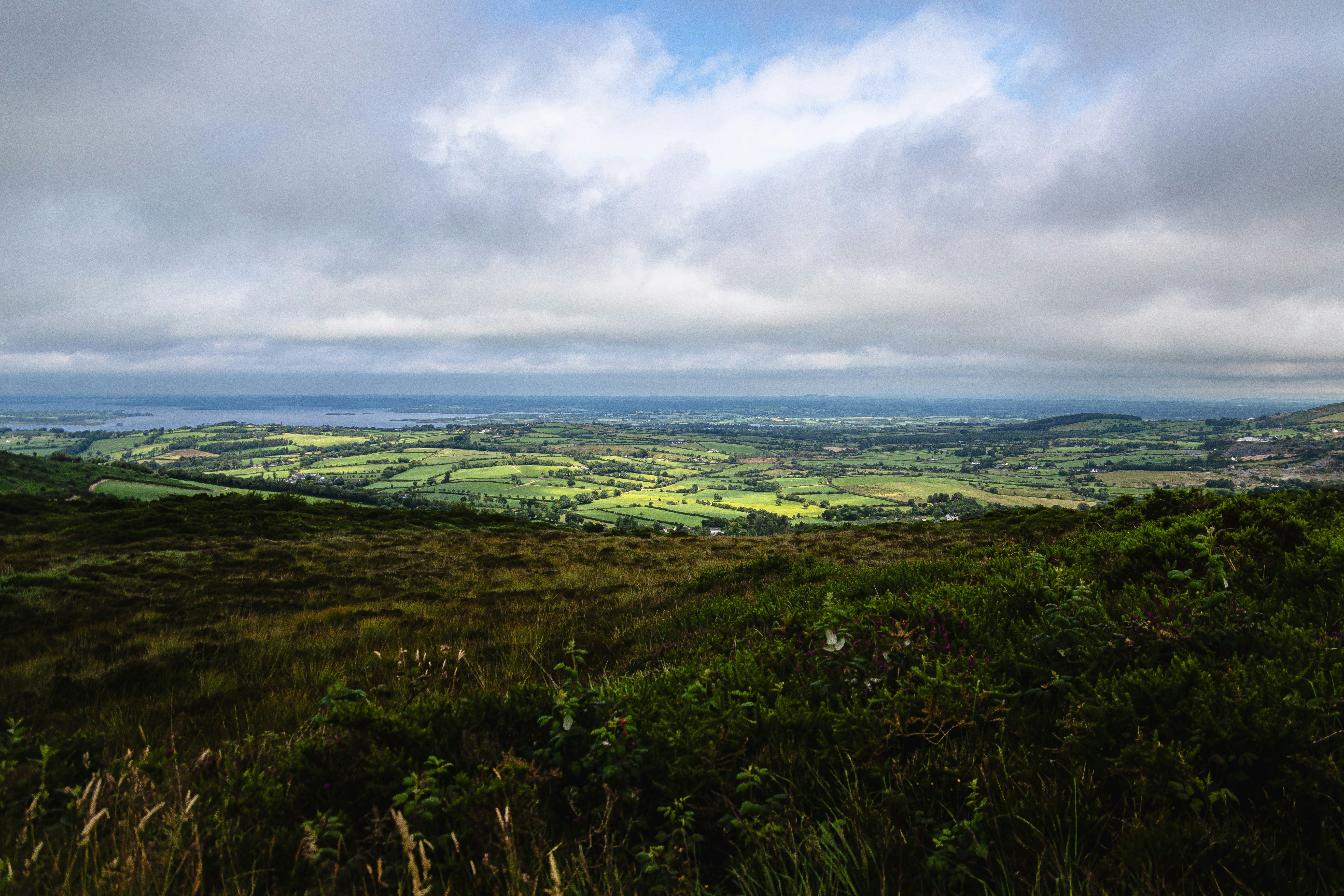 Photo by starkie_pics