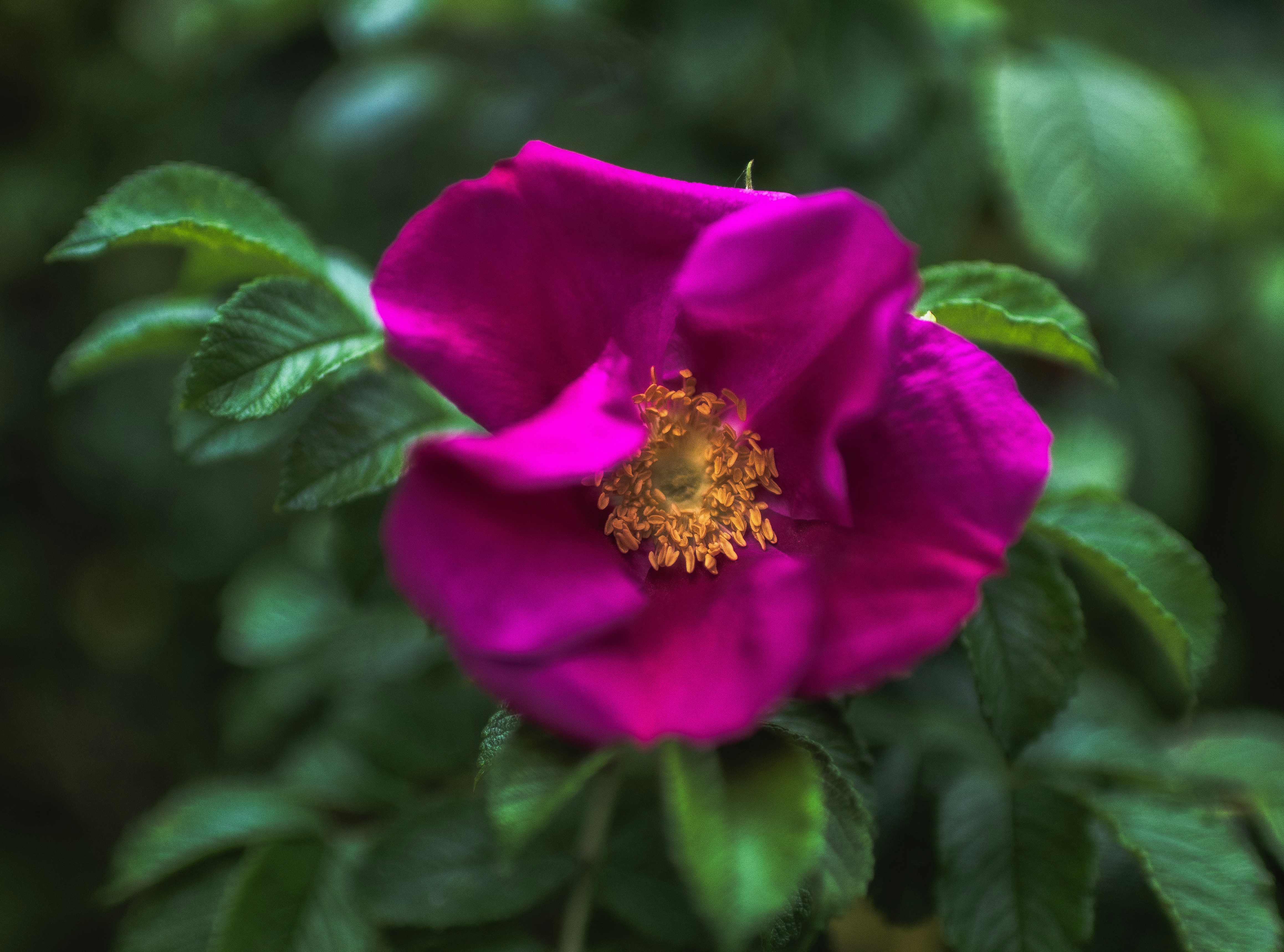 Photo by starkie_pics