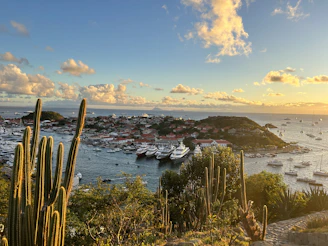 The sun is setting over a harbor with boats in the water