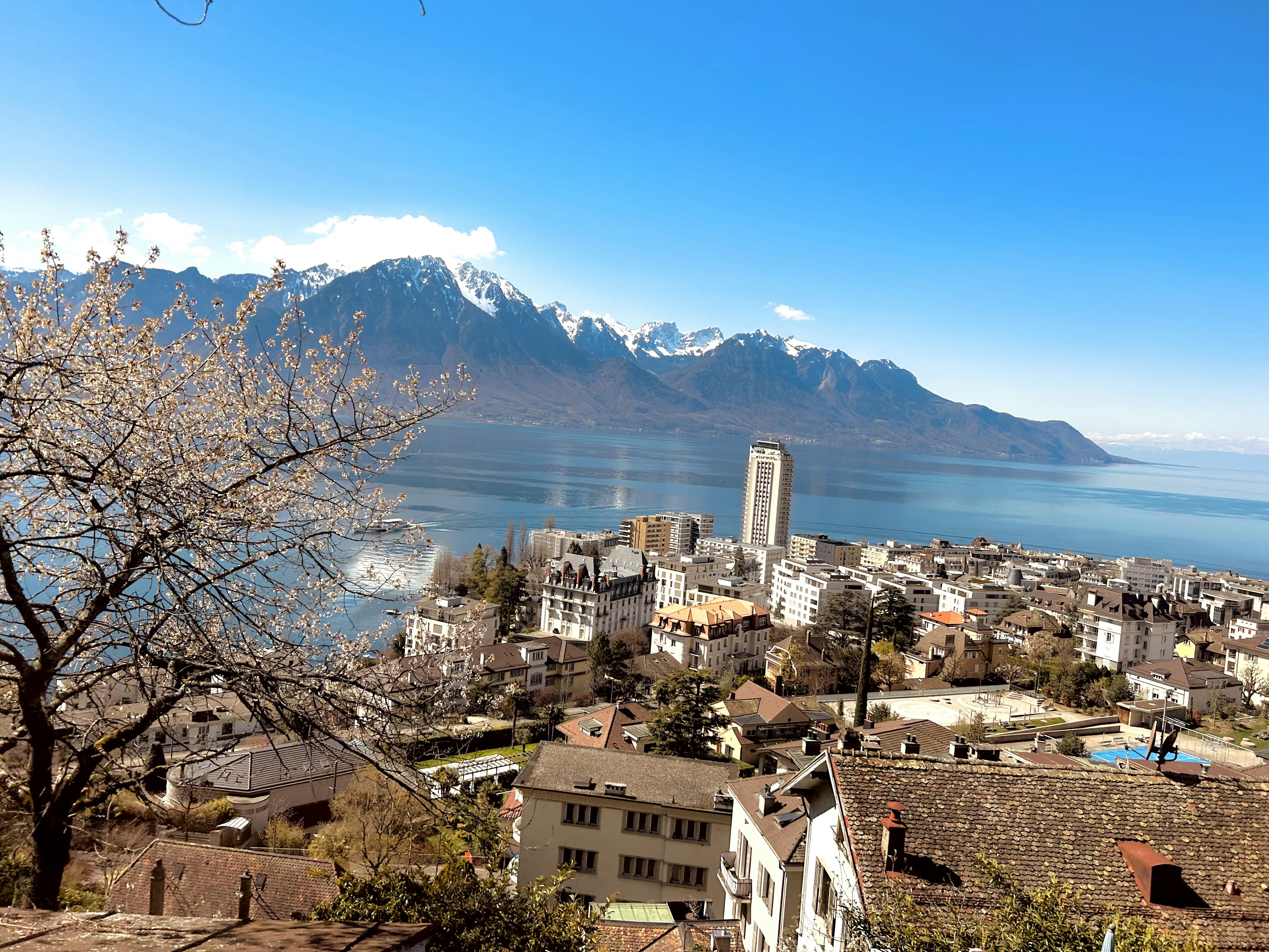 A panoramic view of a city with mountains in the background