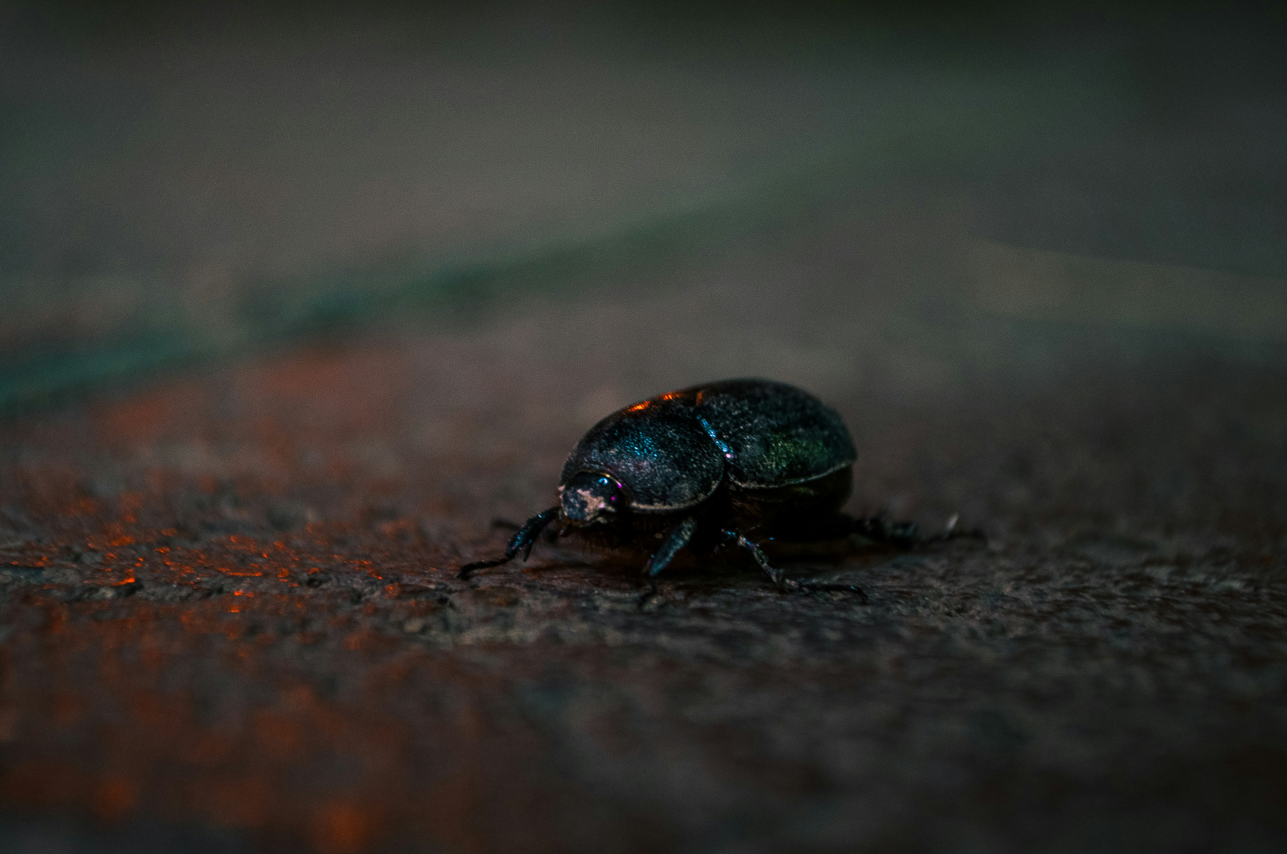 Photo by amirbagh3ri