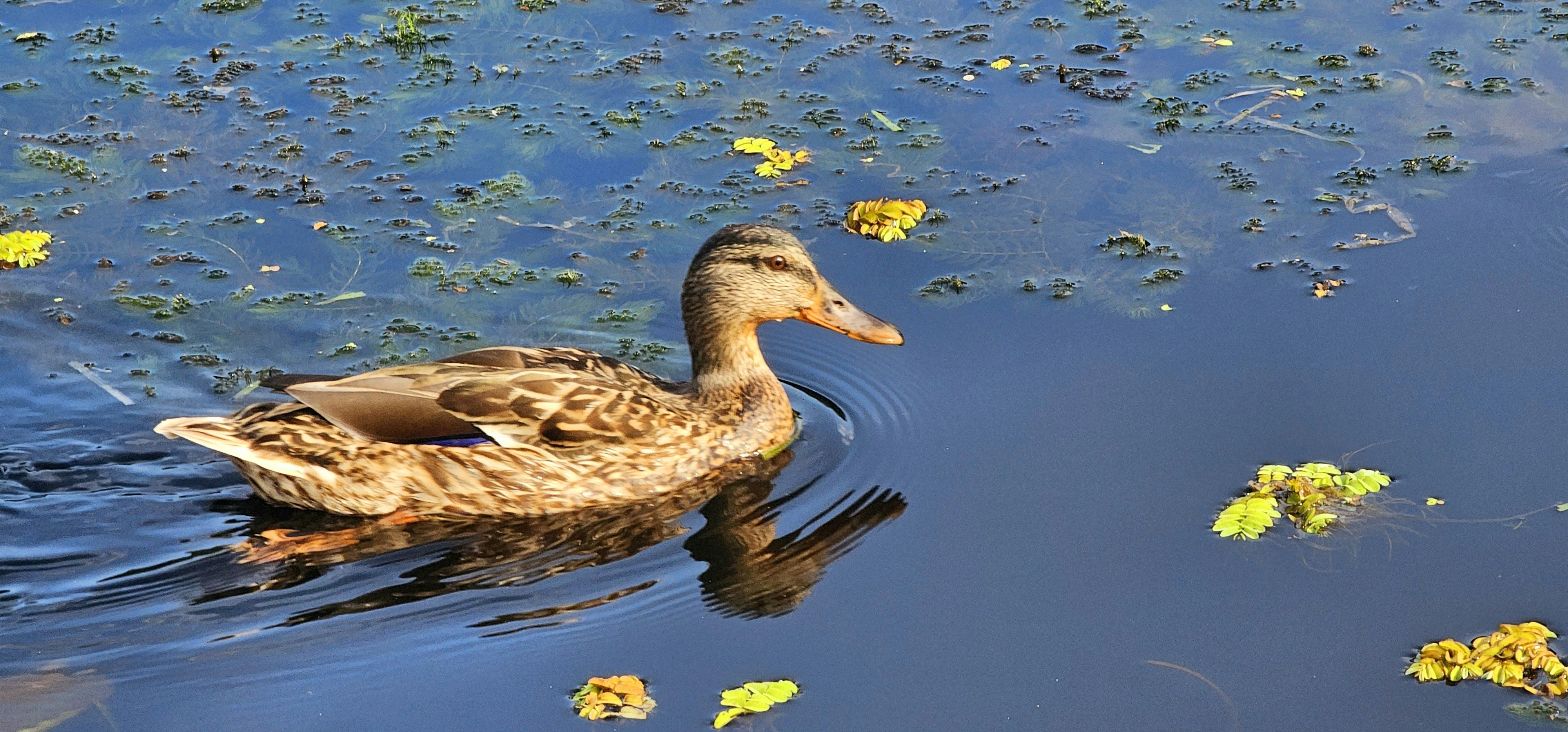 Photo by alx_edelstein