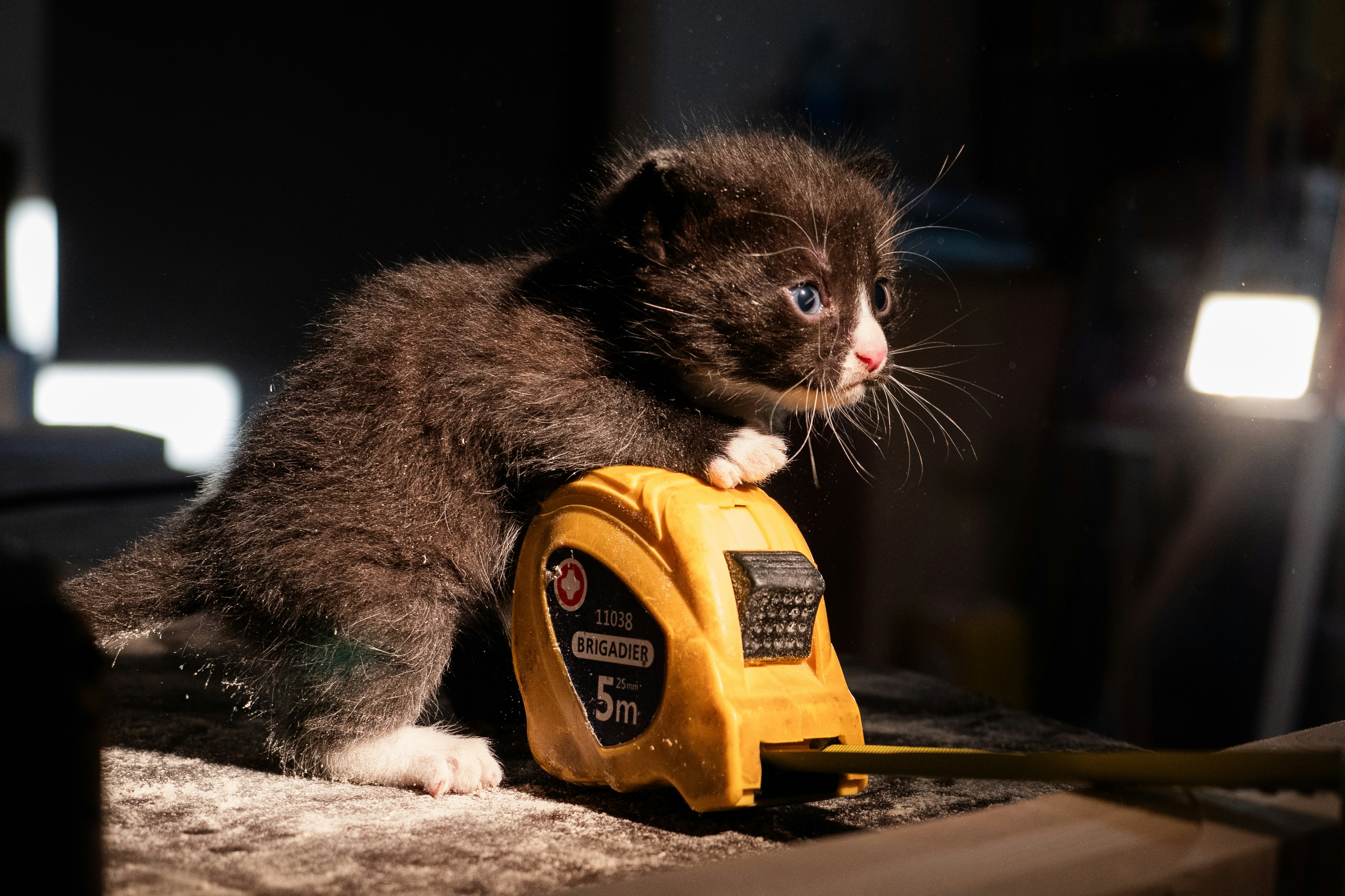 20. Whack-a-Mole-Style Electronic Games (image credits: unsplash)