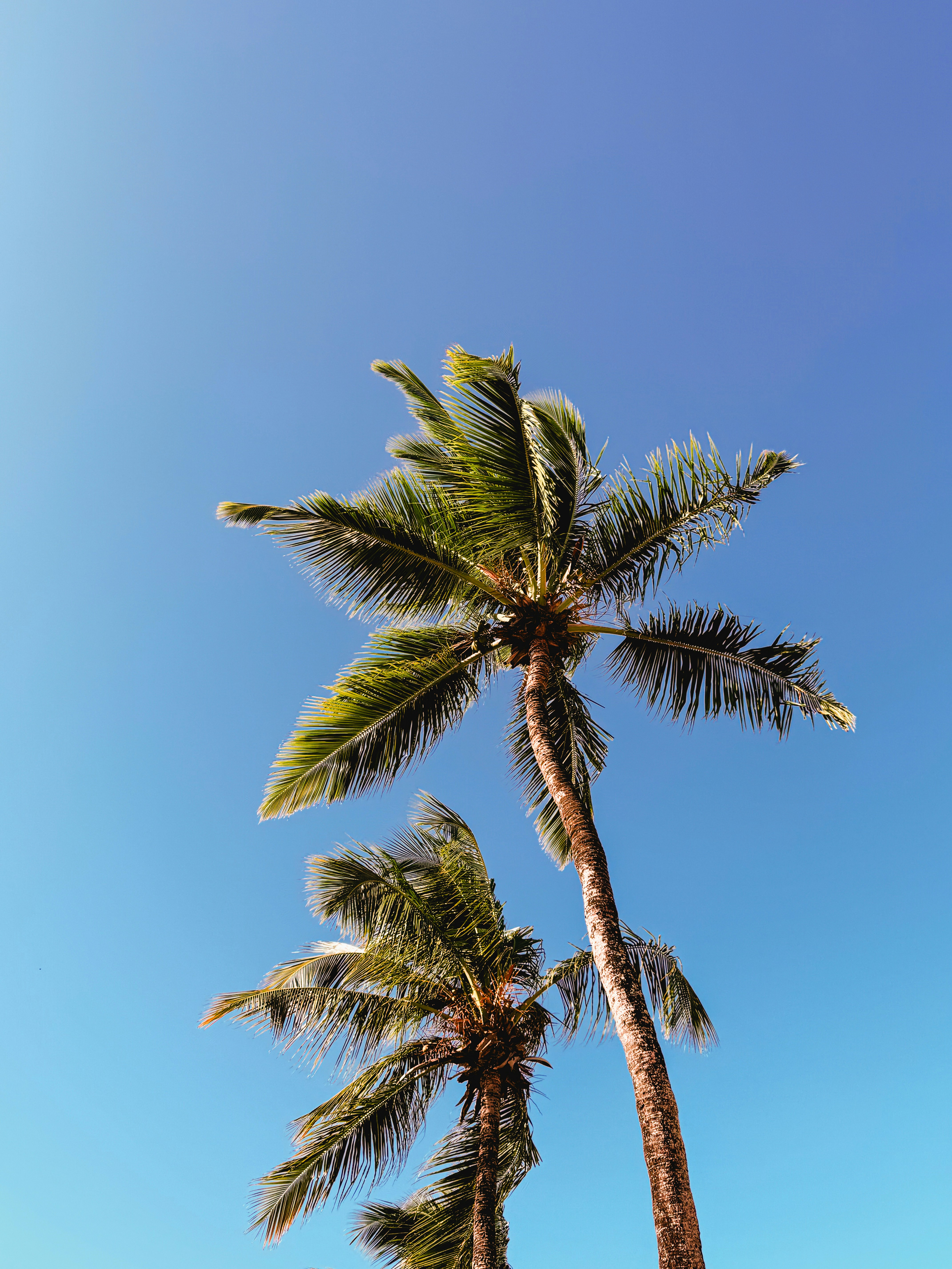 Photo by filipefrancapb2