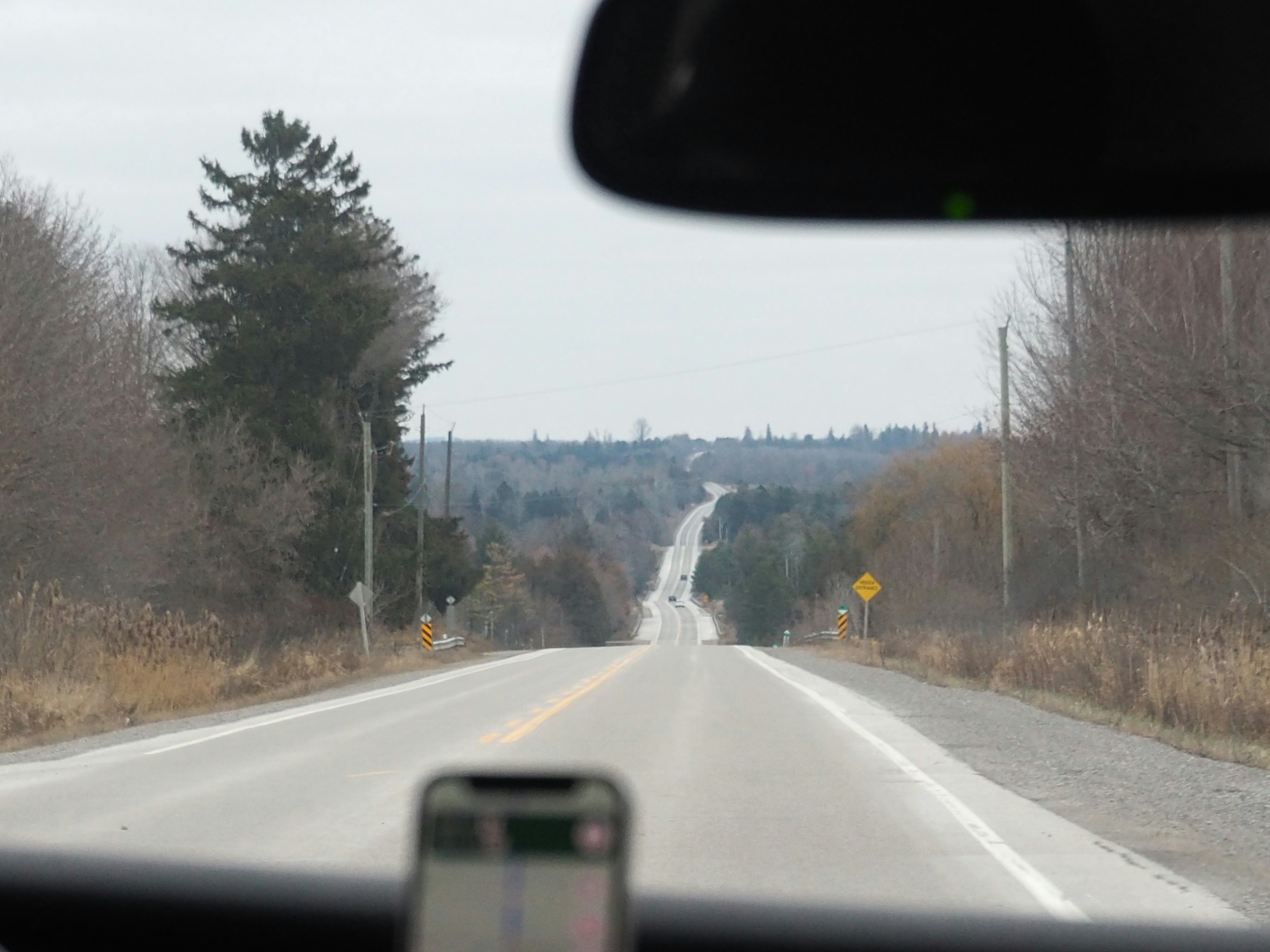 A car driving down a road next to a forest