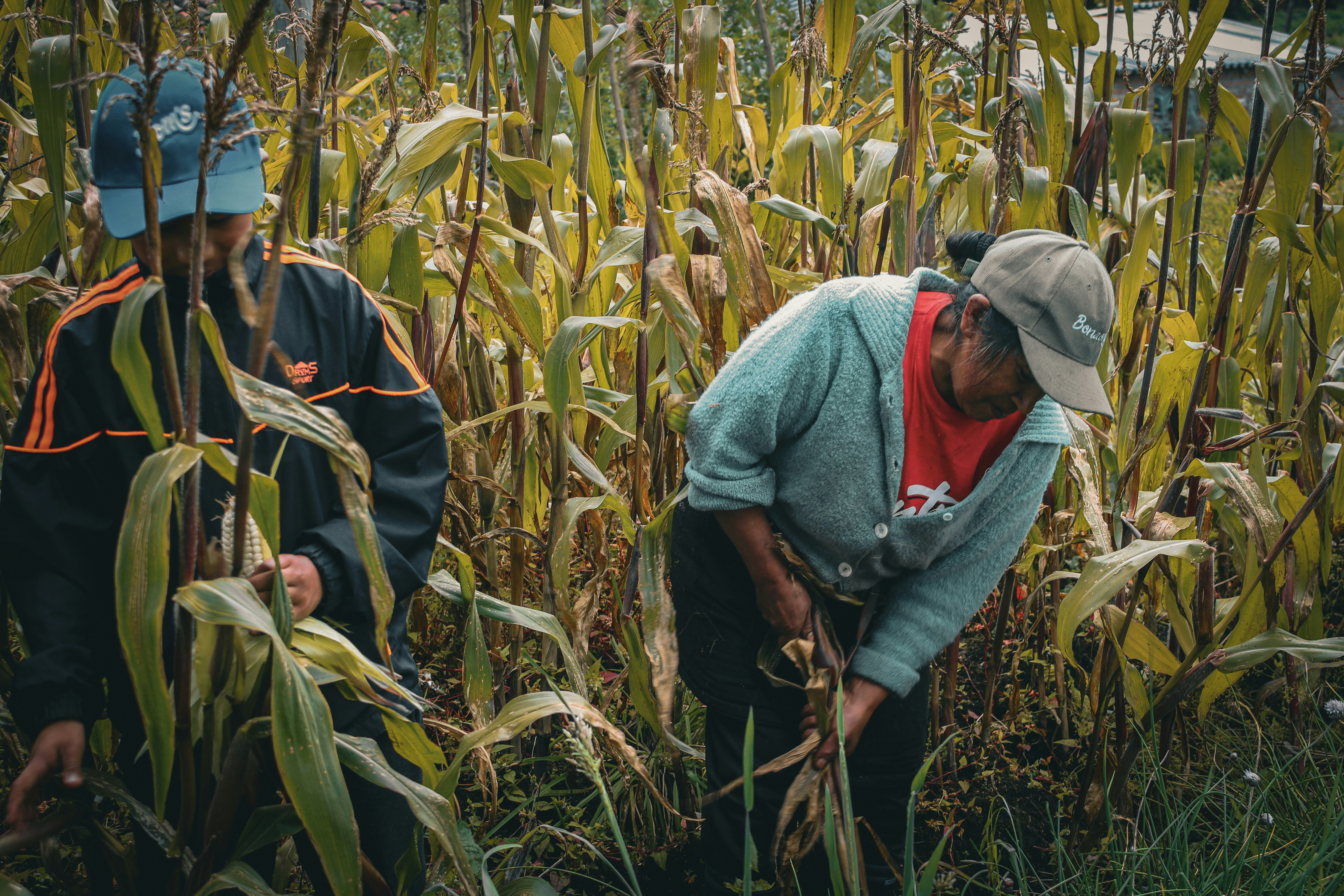 Photo by jhonathan_posso