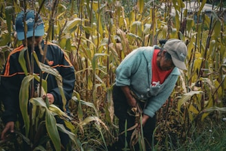 A couple of people that are in a field