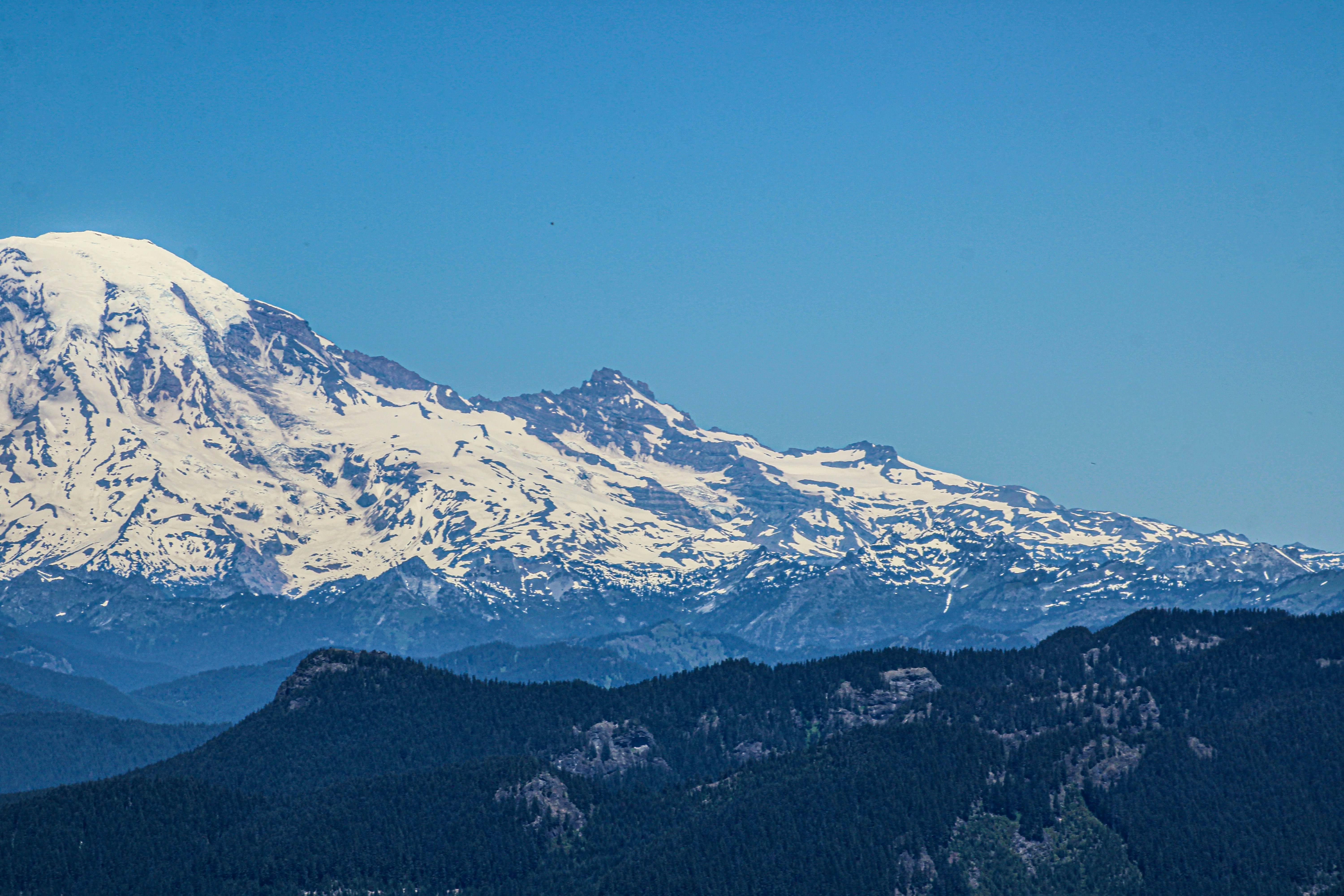 Photo by prphotography262