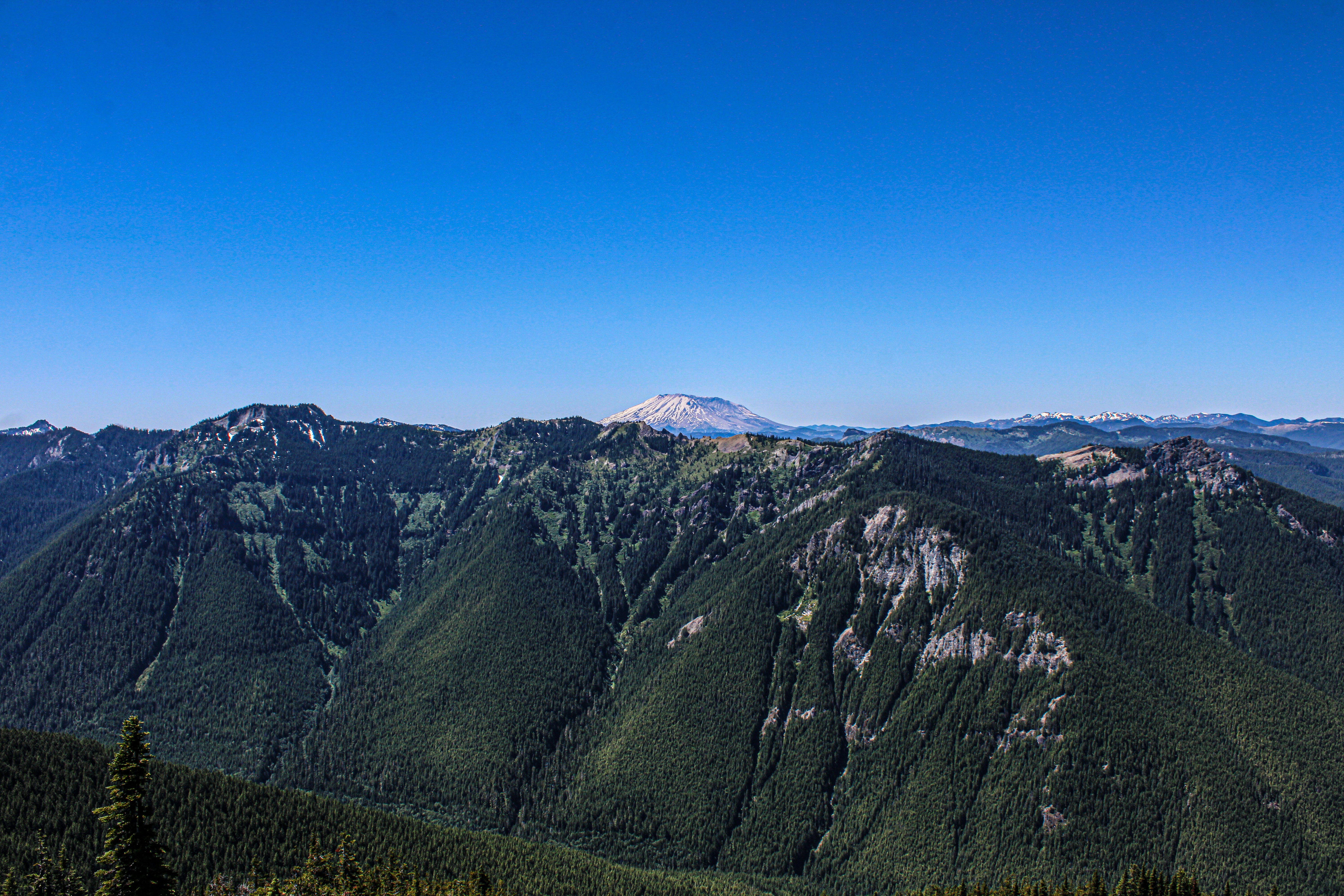 Photo by prphotography262