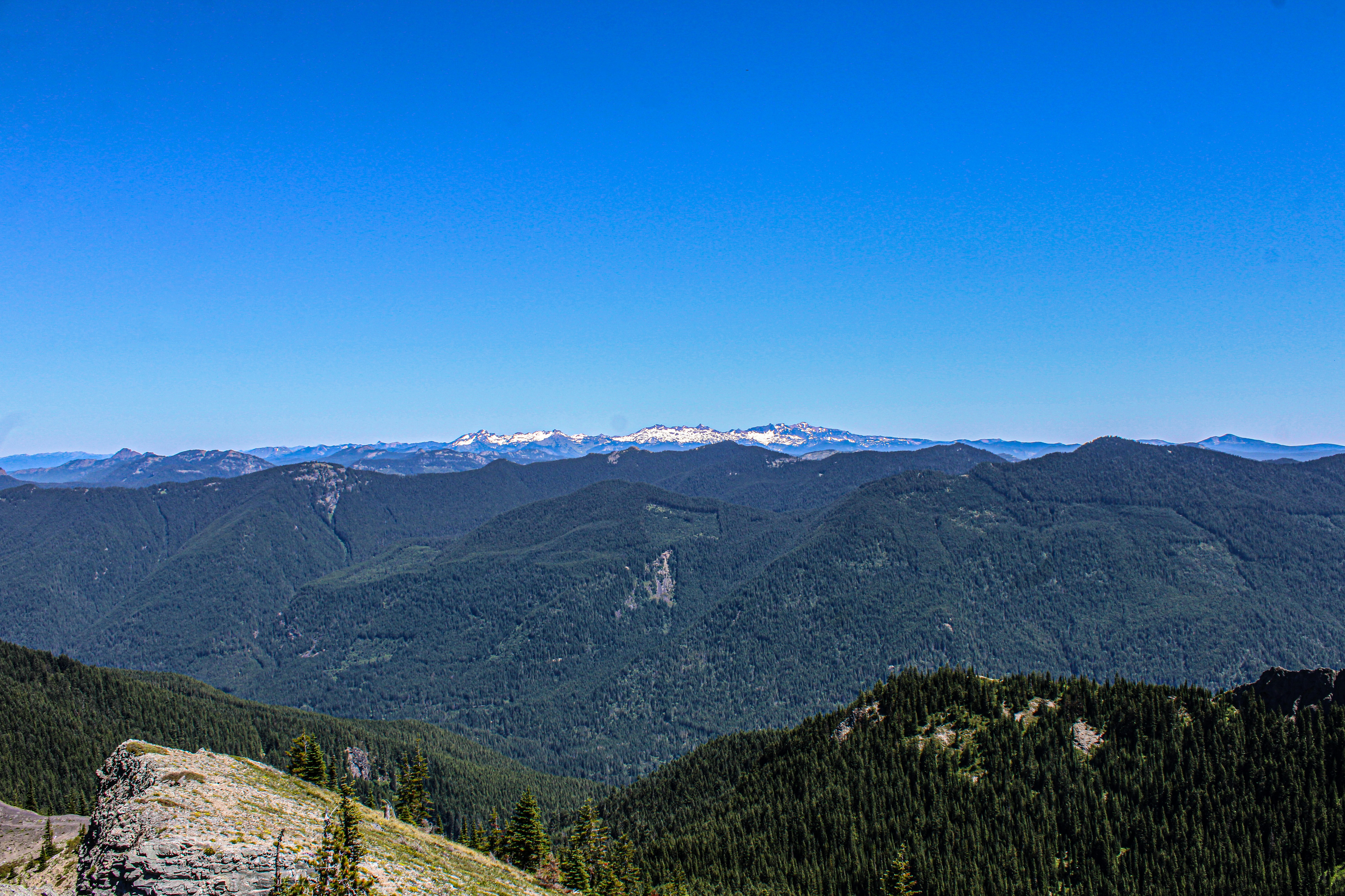 Photo by prphotography262