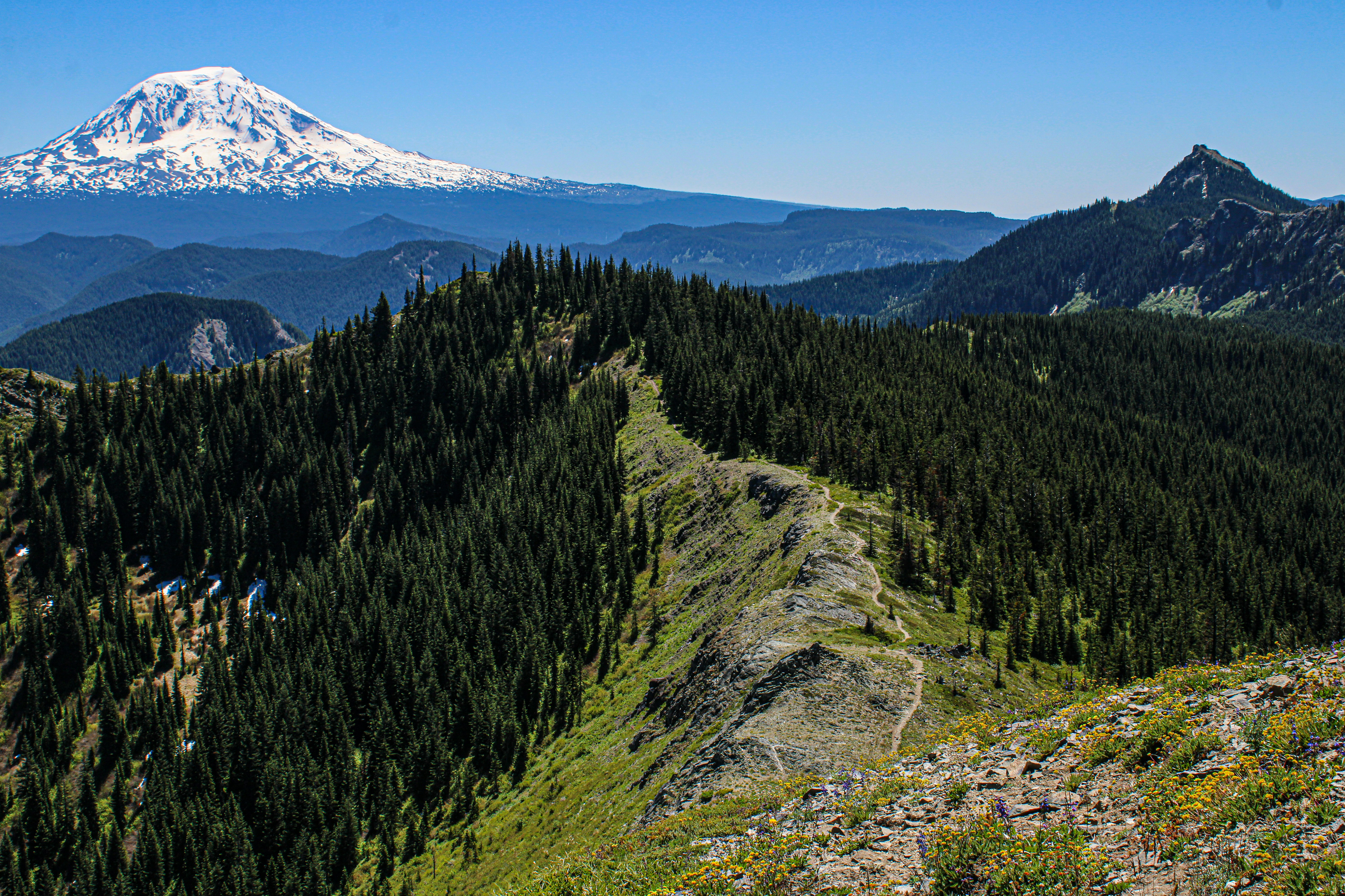 Photo by prphotography262